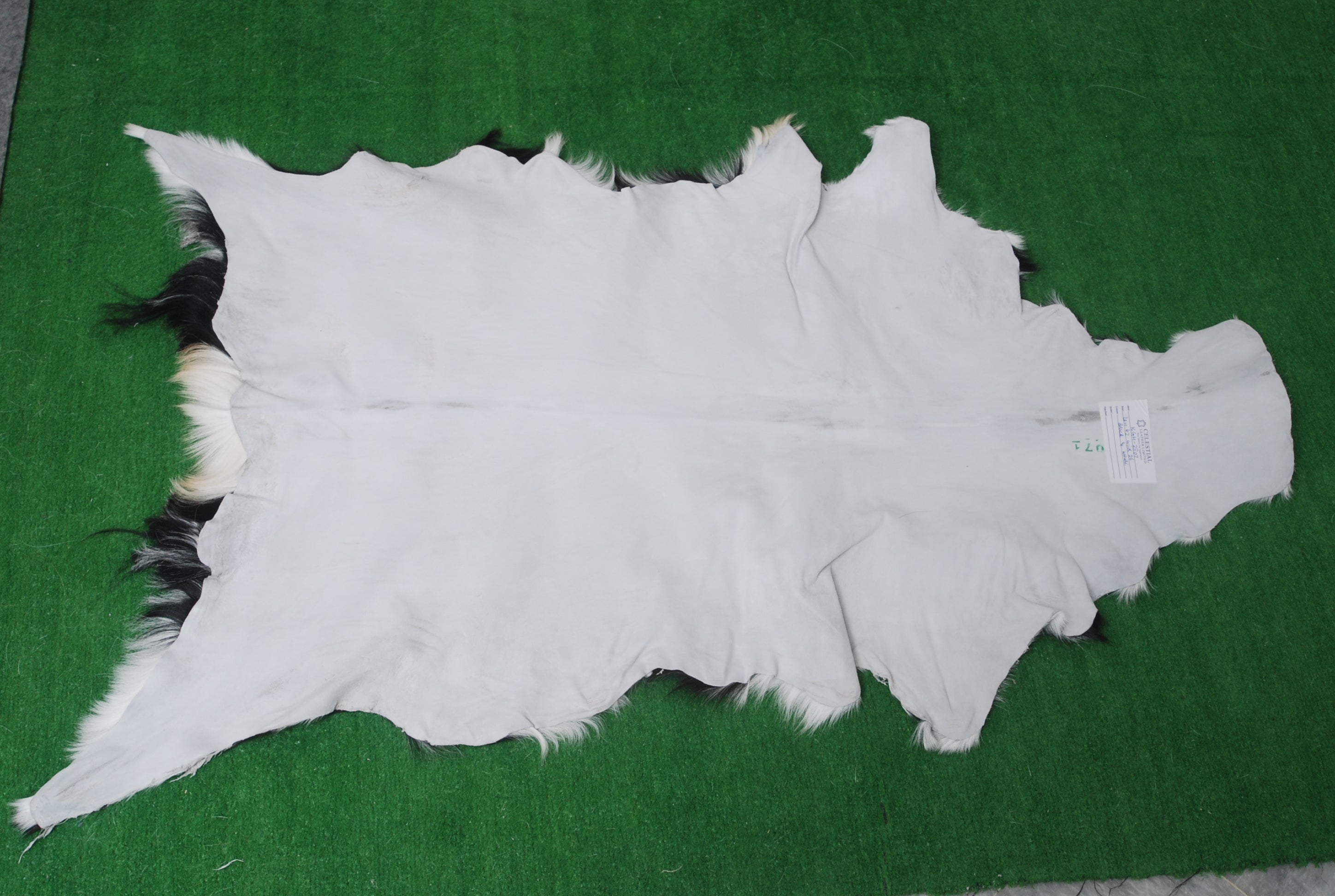 Goat Skin Rug, Handpicked for Quality, Unique Piece for Sale, Fast UK Delivery