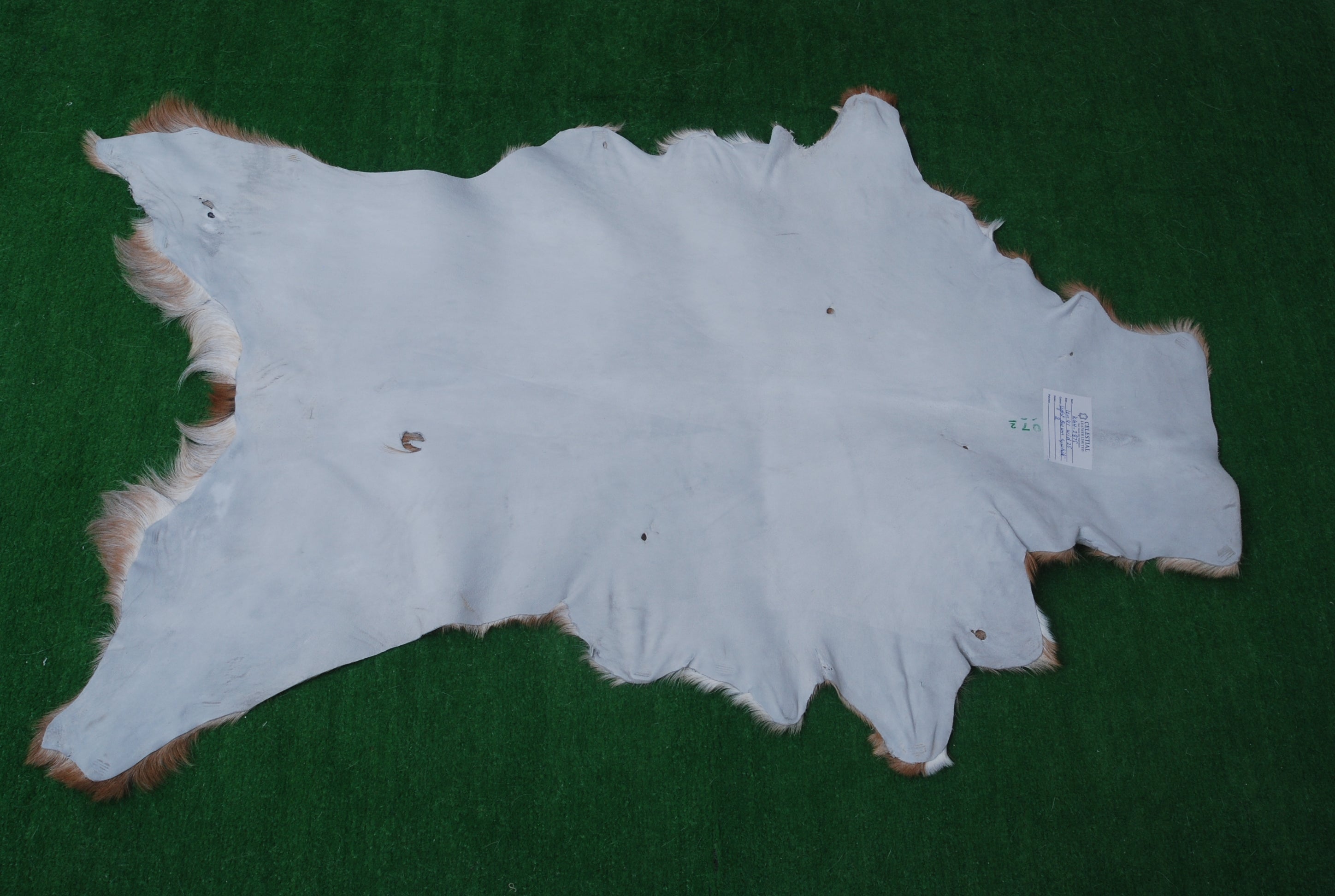 Luxurious Brown and White Goat Hide Rug - Premium Hair-On Goat Skin Rug, Sustainable Eco-Friendly Decor for Any Room