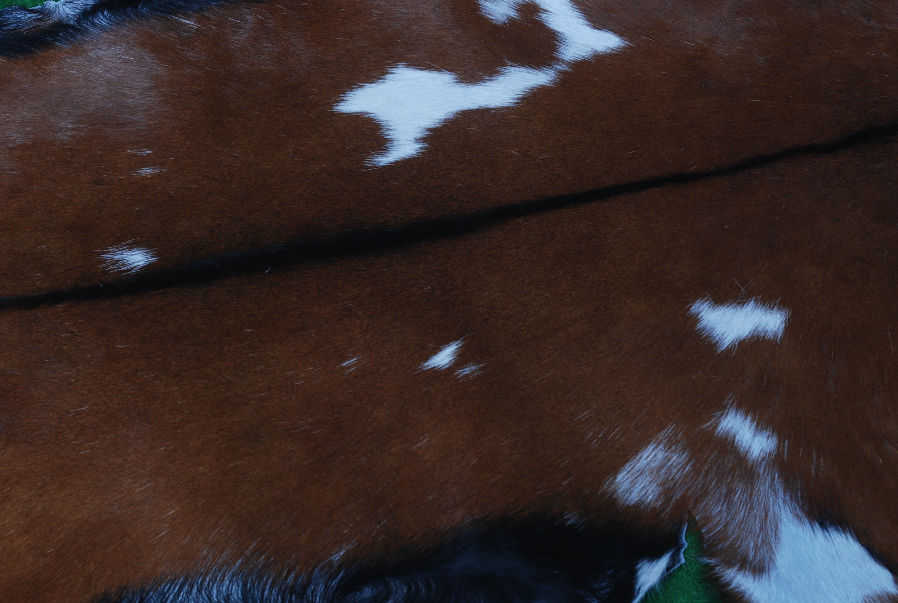 Premium Dark Brown Goat Skin Rug - Rustic Charm for Modern and Classic Interiors