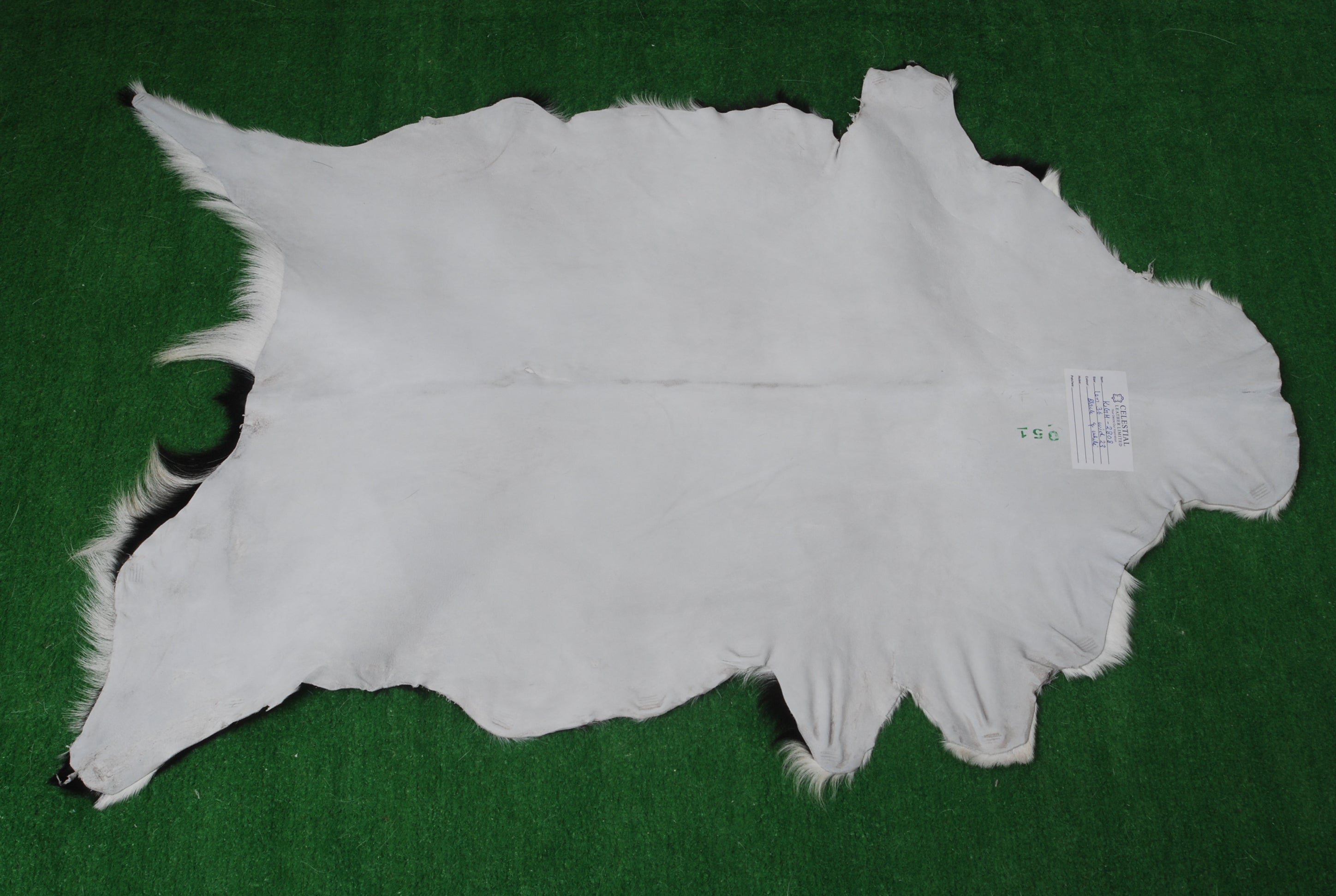 Serene Grey & White Goat Skin Rug - Natural Animal Hide Floor Decor with Suede Back - Sustainable, Eco-Friendly, and Hypoallergenic