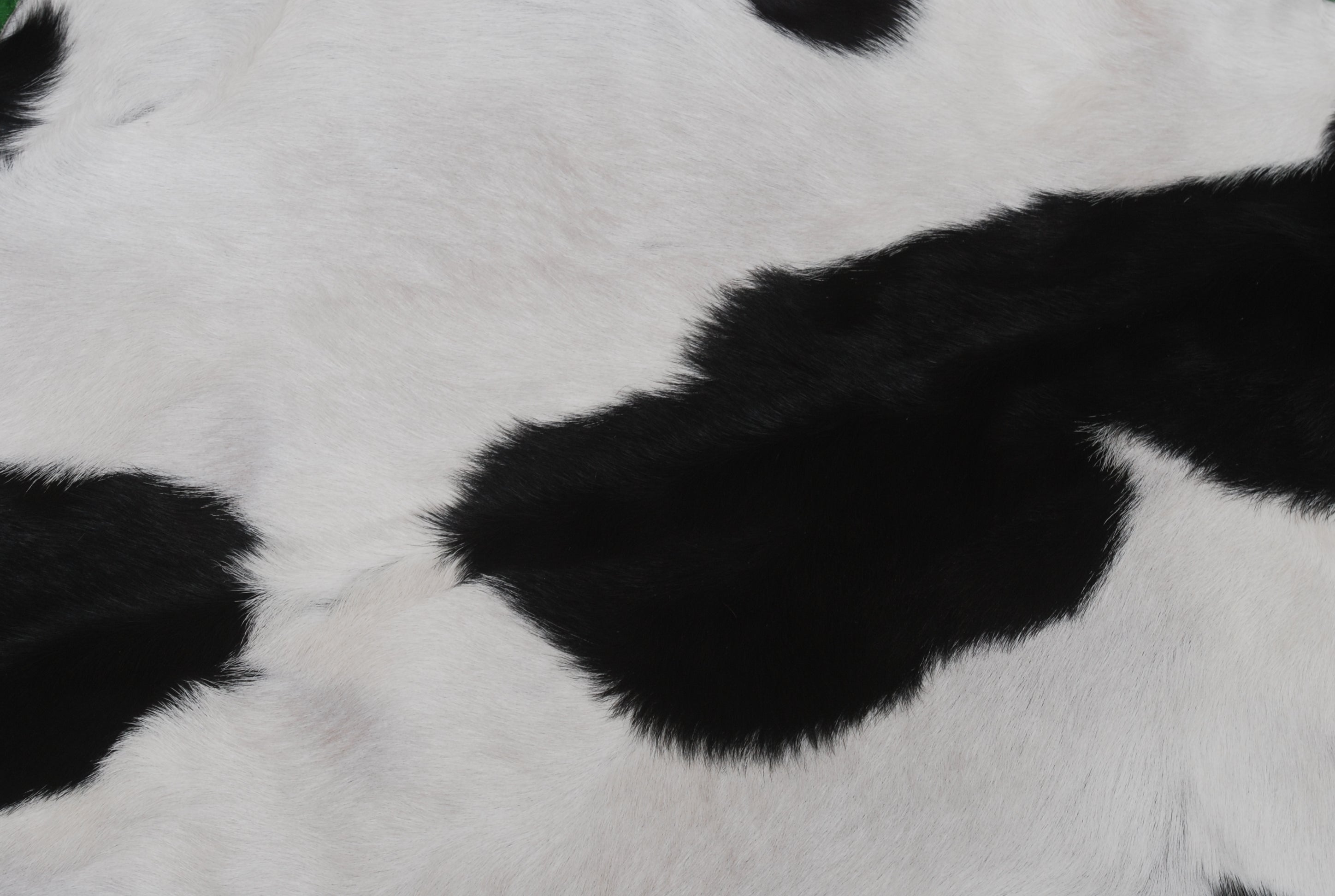 Serene Grey & White Goat Skin Rug - Natural Animal Hide Floor Decor with Suede Back - Sustainable, Eco-Friendly, and Hypoallergenic