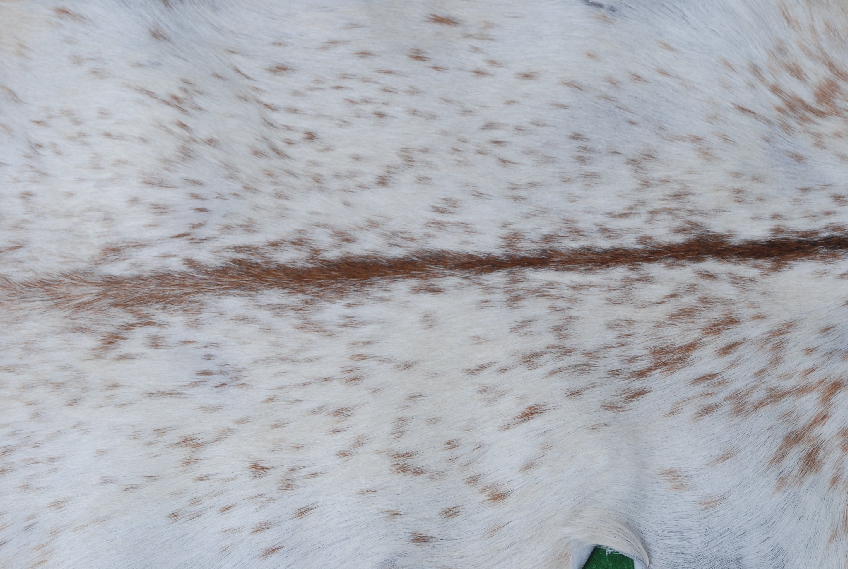 Handcrafted Brown and White Goat Skin Rug - Soft, Durable, and Elegant Décor