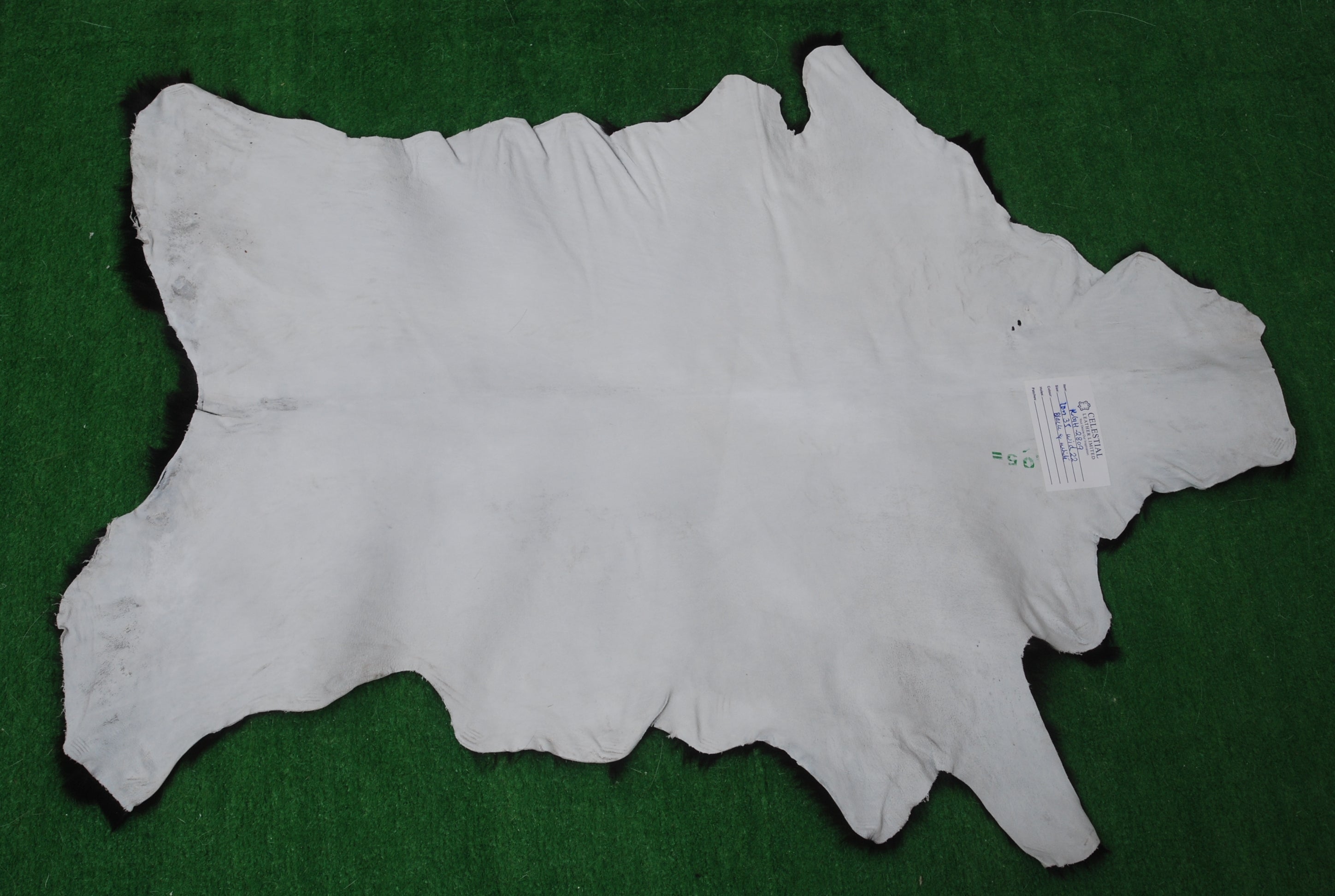 Goat Skin Rug, Handpicked for Quality, Unique Piece for Sale, Fast UK Delivery