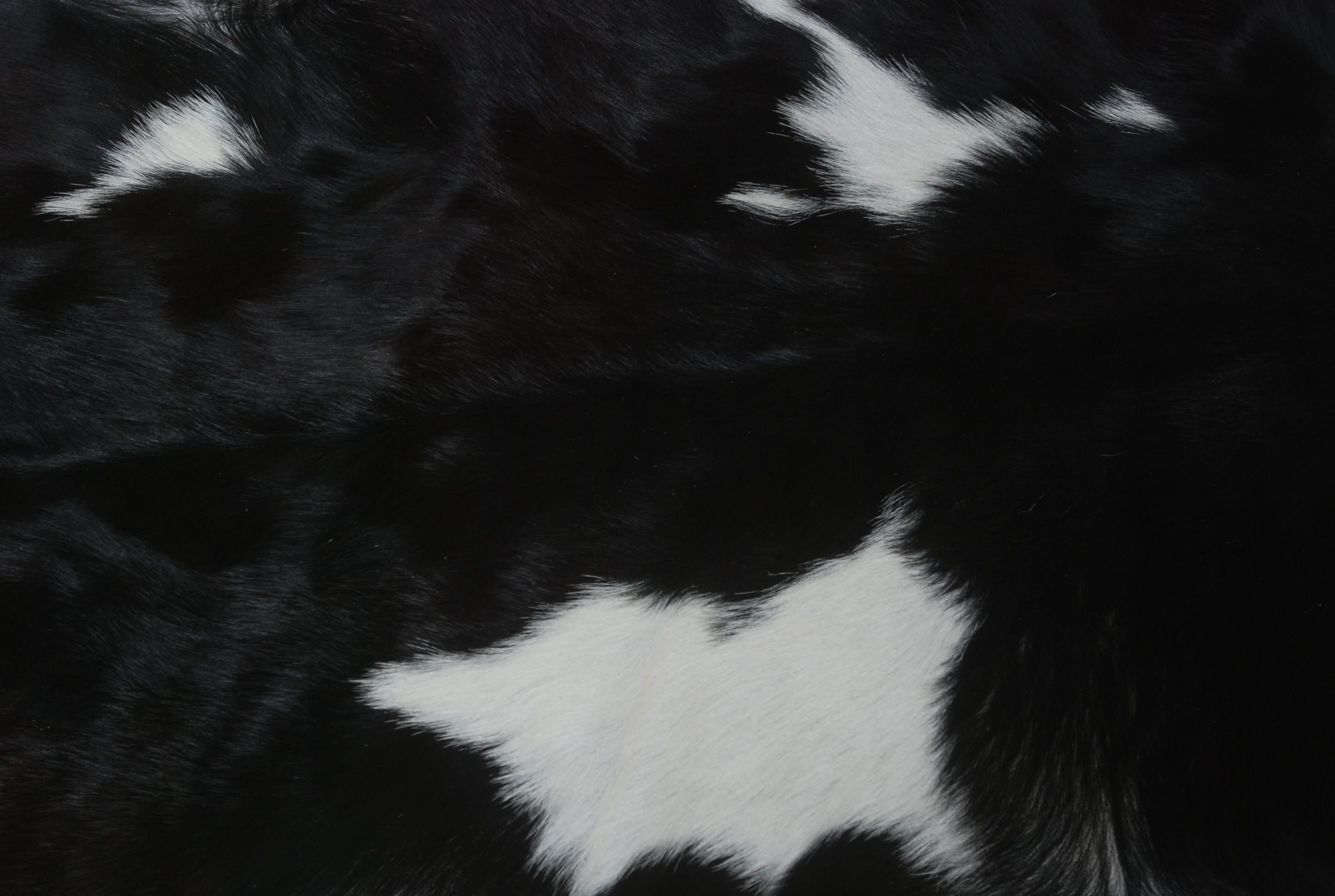 Goat Skin Rug, Handpicked for Quality, Unique Piece for Sale, Fast UK Delivery