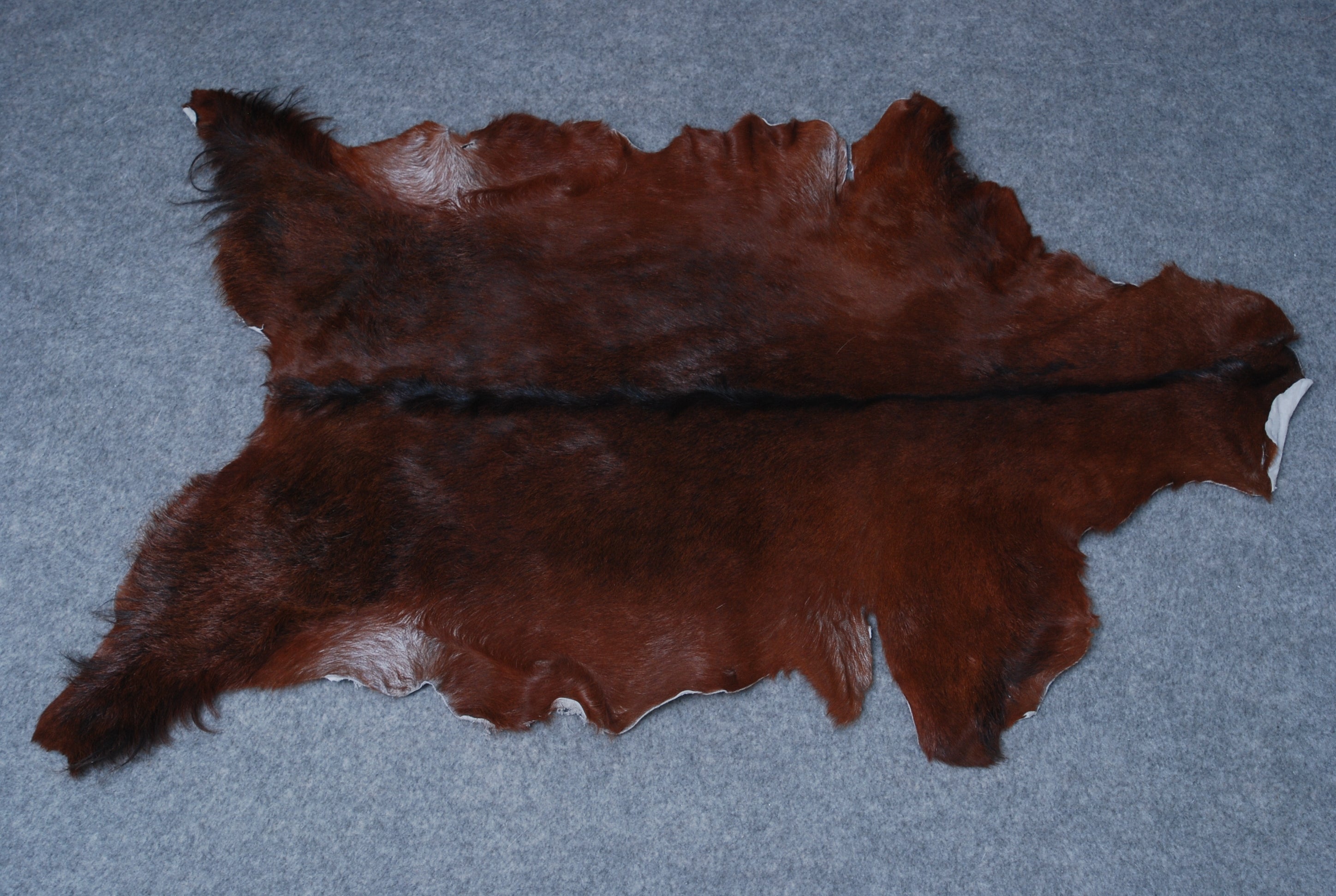 Luxurious Dark Brown Goat Skin Rug - Genuine Hair-On Leather for Elegant Décor