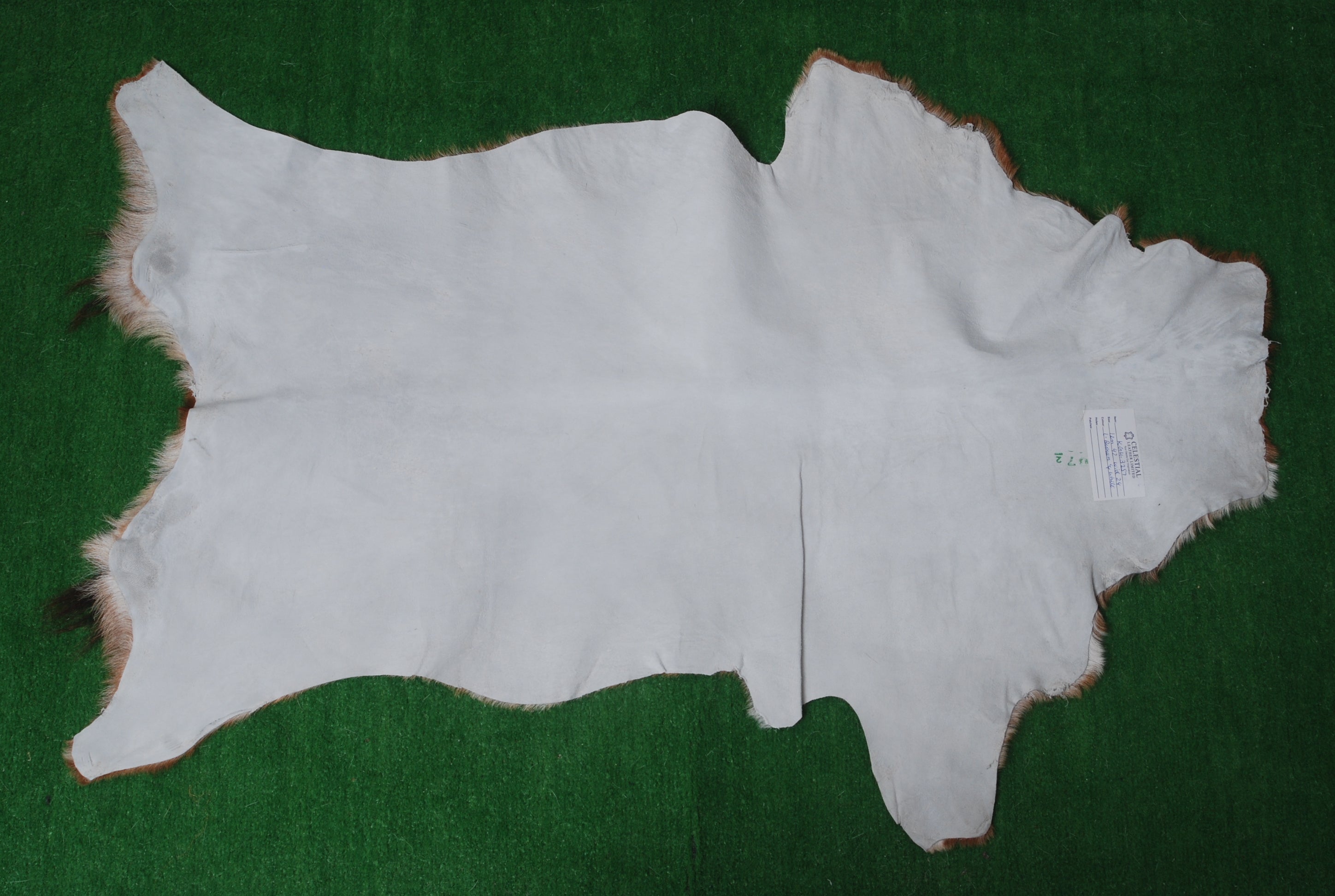 Elegant Brown and White Goat Hide Rug - Perfect Accent for Living Room or Bedroom