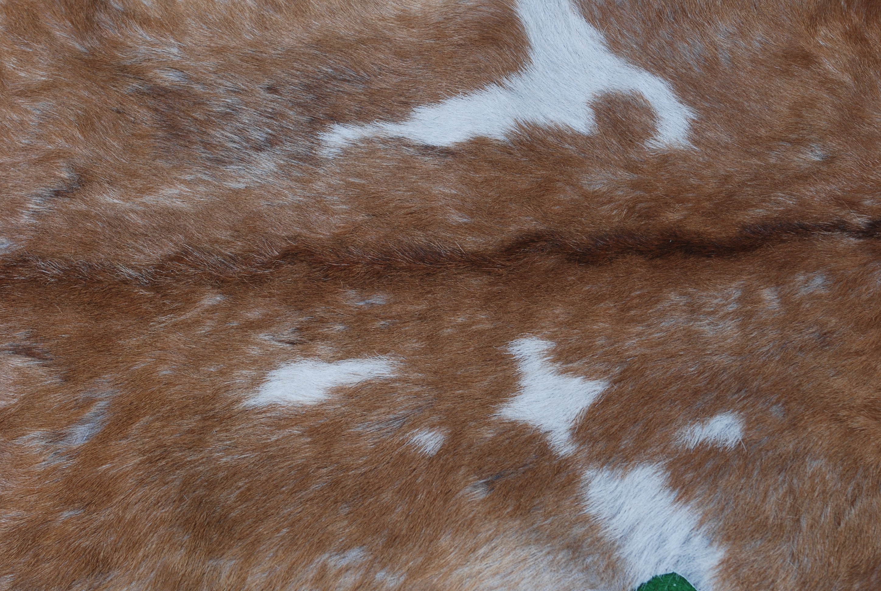 Elegant Brown and White Goat Hide Rug - Perfect Accent for Living Room or Bedroom