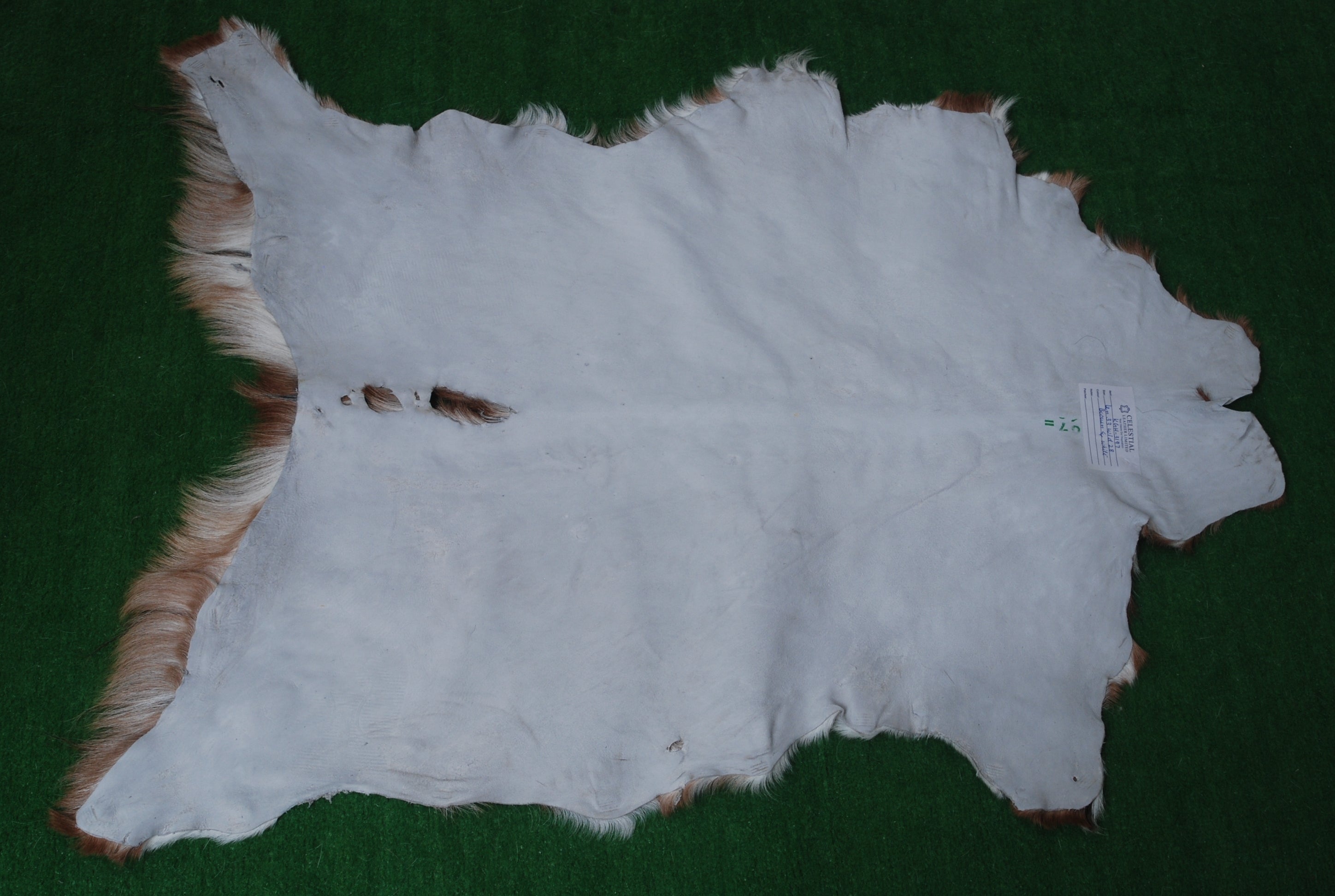 Luxury Brown and White Genuine Goat Hide Rug - Premium 100% Natural Hair-On Goat Skin Rug - Handcrafted and Sustainable Home Decor - Celestial Leather Limited