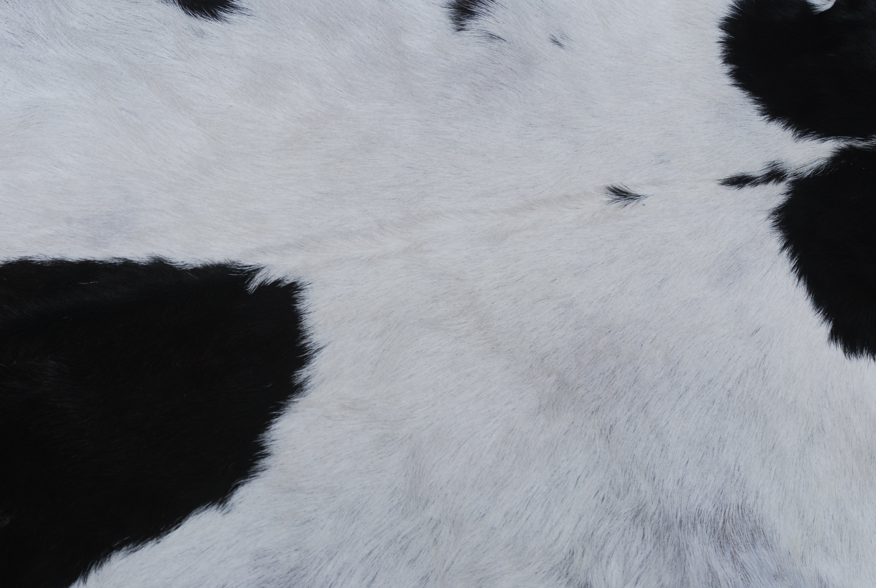 Hair-On Goat Skin Rug - Black and White Design for Unique Living Spaces