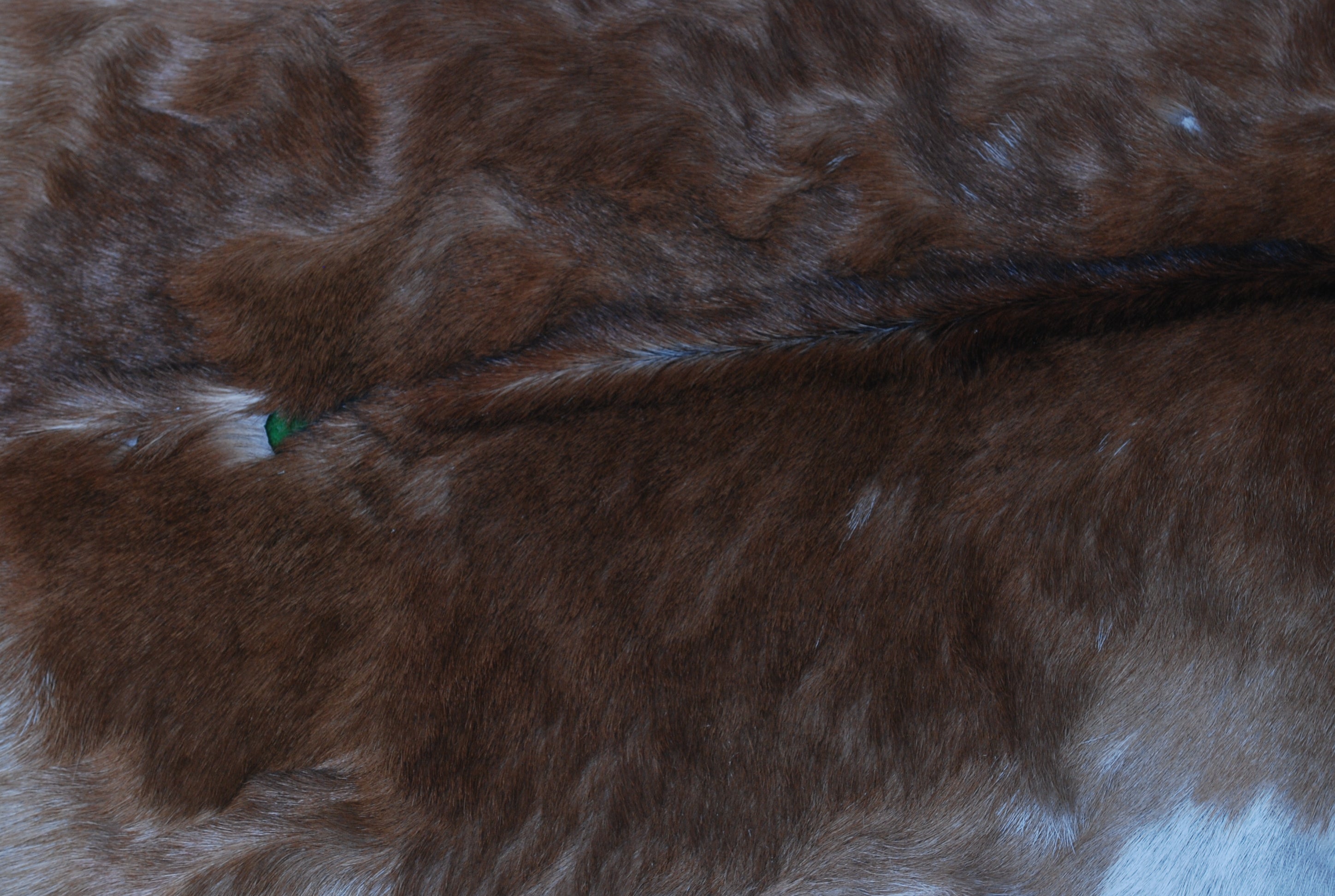 Luxury Brown and White Genuine Goat Hide Rug - Premium 100% Natural Hair-On Goat Skin Rug - Handcrafted and Sustainable Home Decor - Celestial Leather Limited