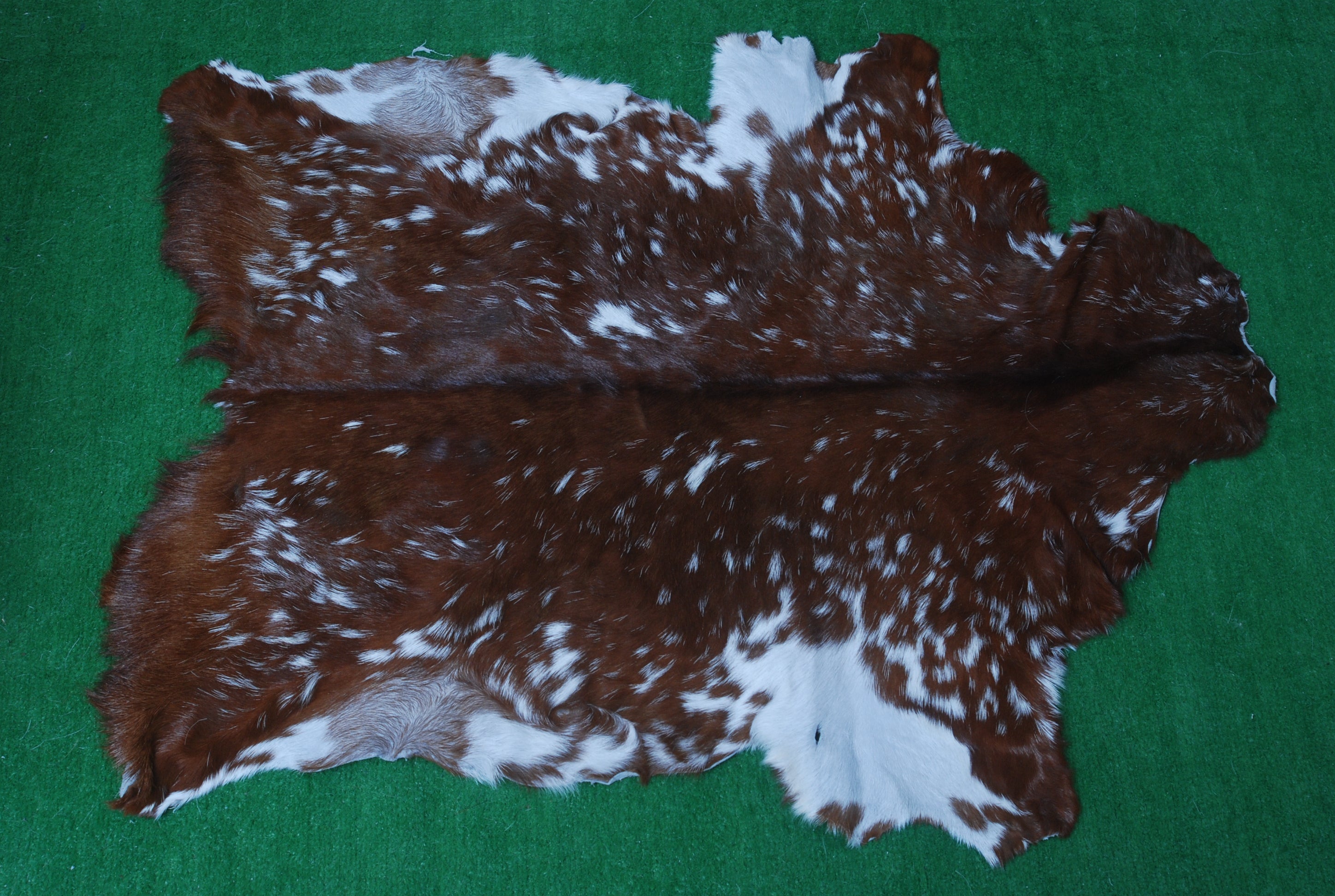 Natural Dark Brown Goat Hide Rug - Perfect for Modern and Rustic Spaces
