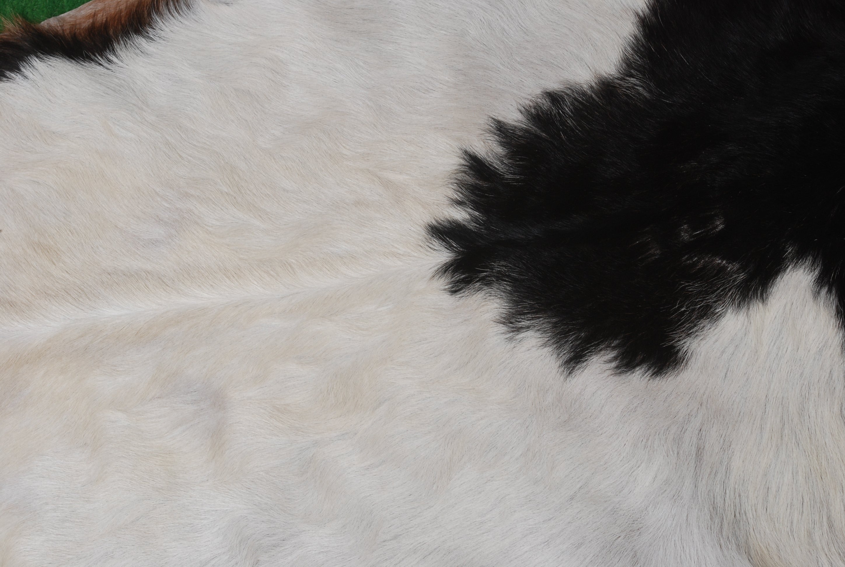 Luxury Multicolour Goat Skin Rug Handmade from 100% Pure Goat Skin | Soft, Durable, Hypoallergenic, Eco-Friendly | Unique Colour Variations,