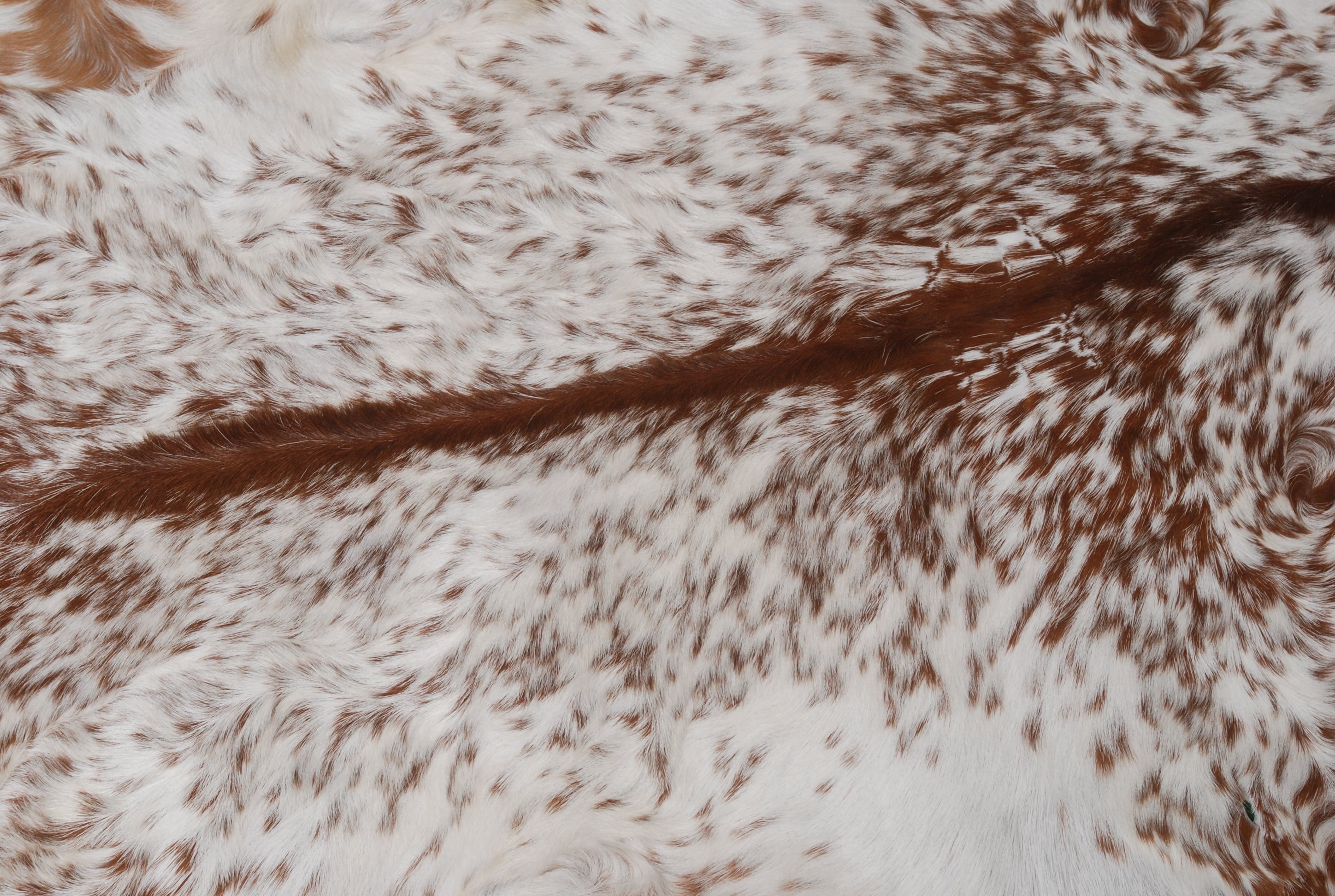 Luxury Brown and White Goat Hide Rug - Premium Handcrafted Hair-on Goatskin Rug with Non-Slip Suede Back, Sustainable and Eco-Friendly - Celestial Leather Limited