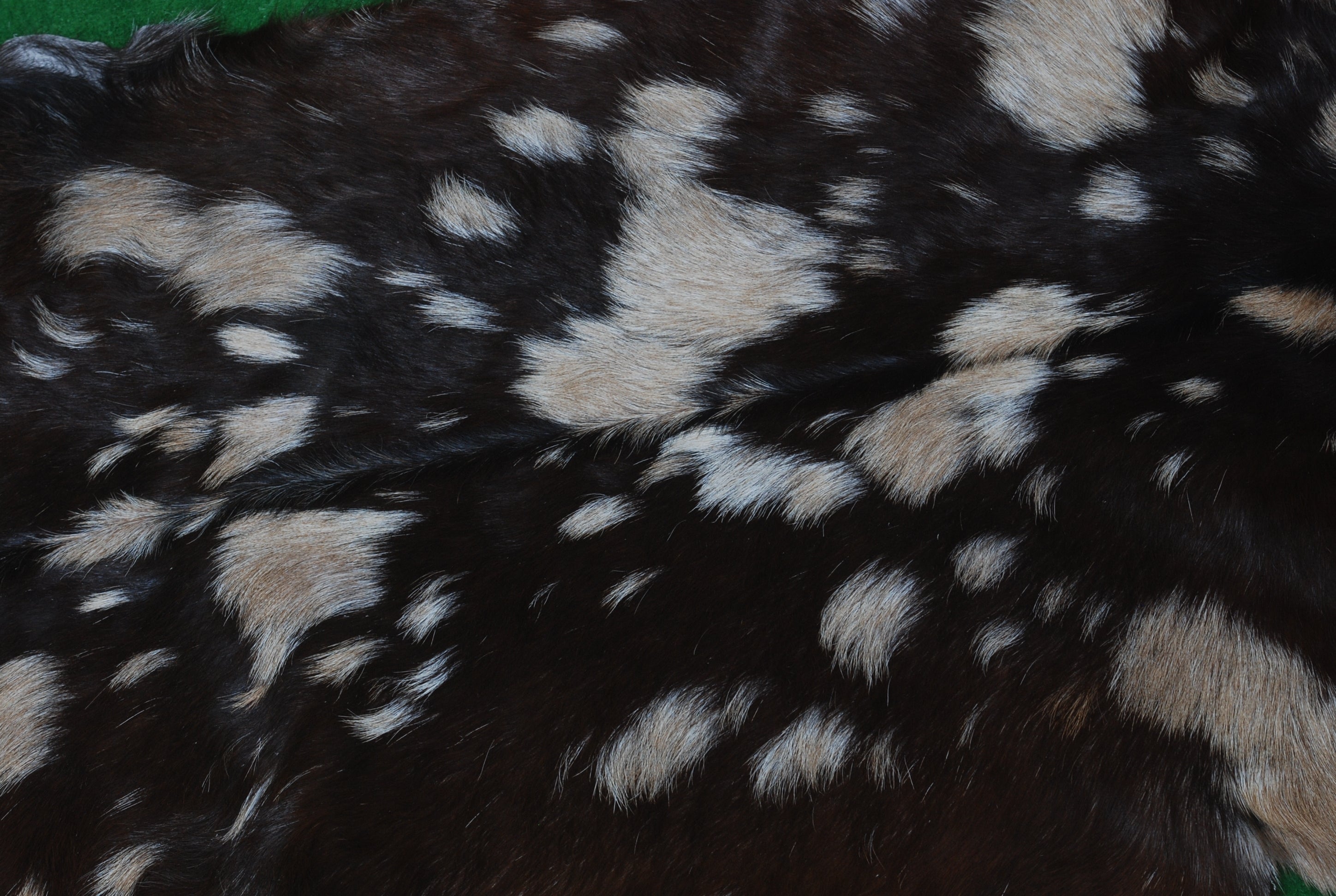 Luxury Handmade Black Brown Goat Skin Rug - Unique & Stunning Statement Piece - Celestial Leather Limited