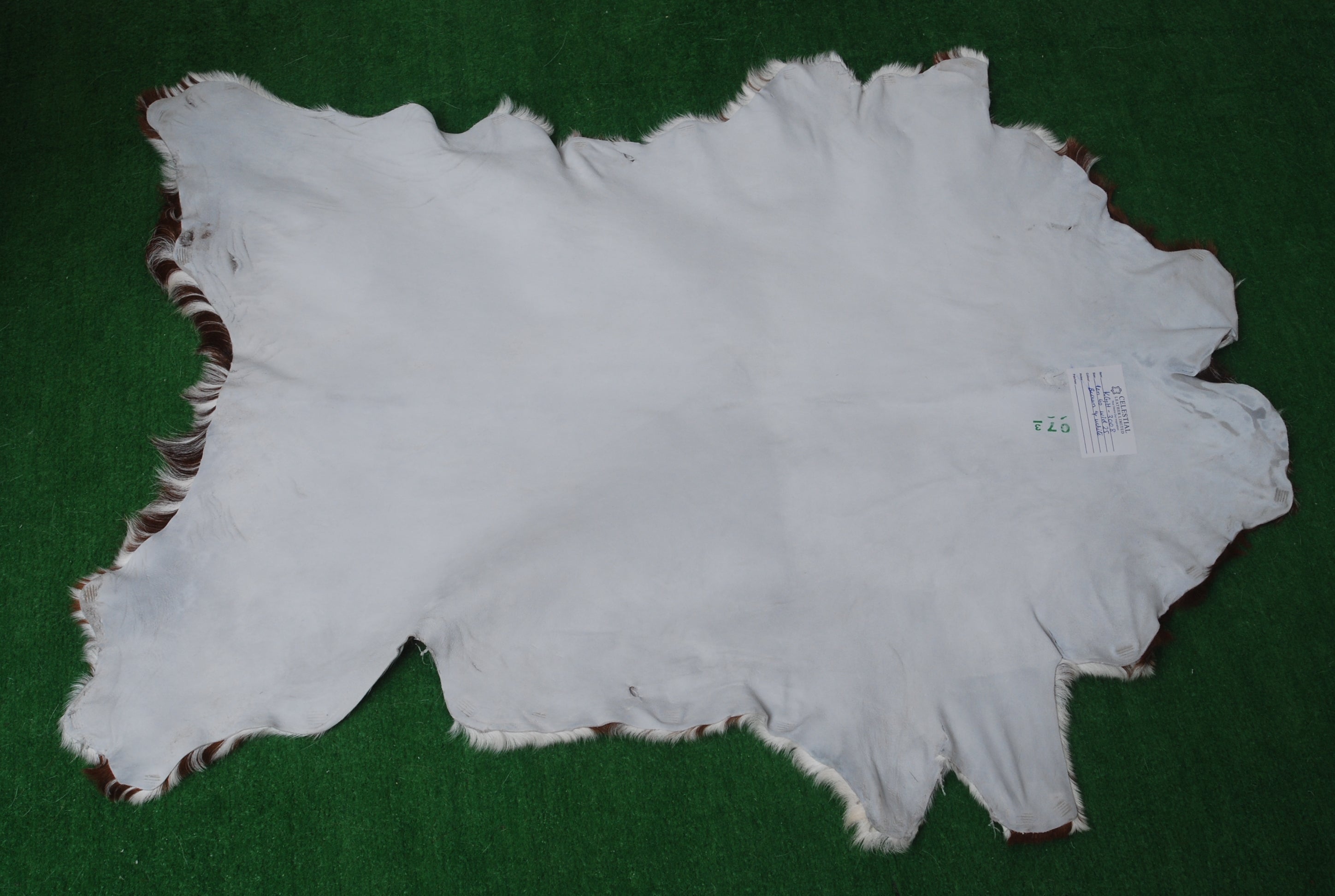 Luxurious Brown & White Natural Goat Skin Rug Wall Décor - Celestial Leather Limited