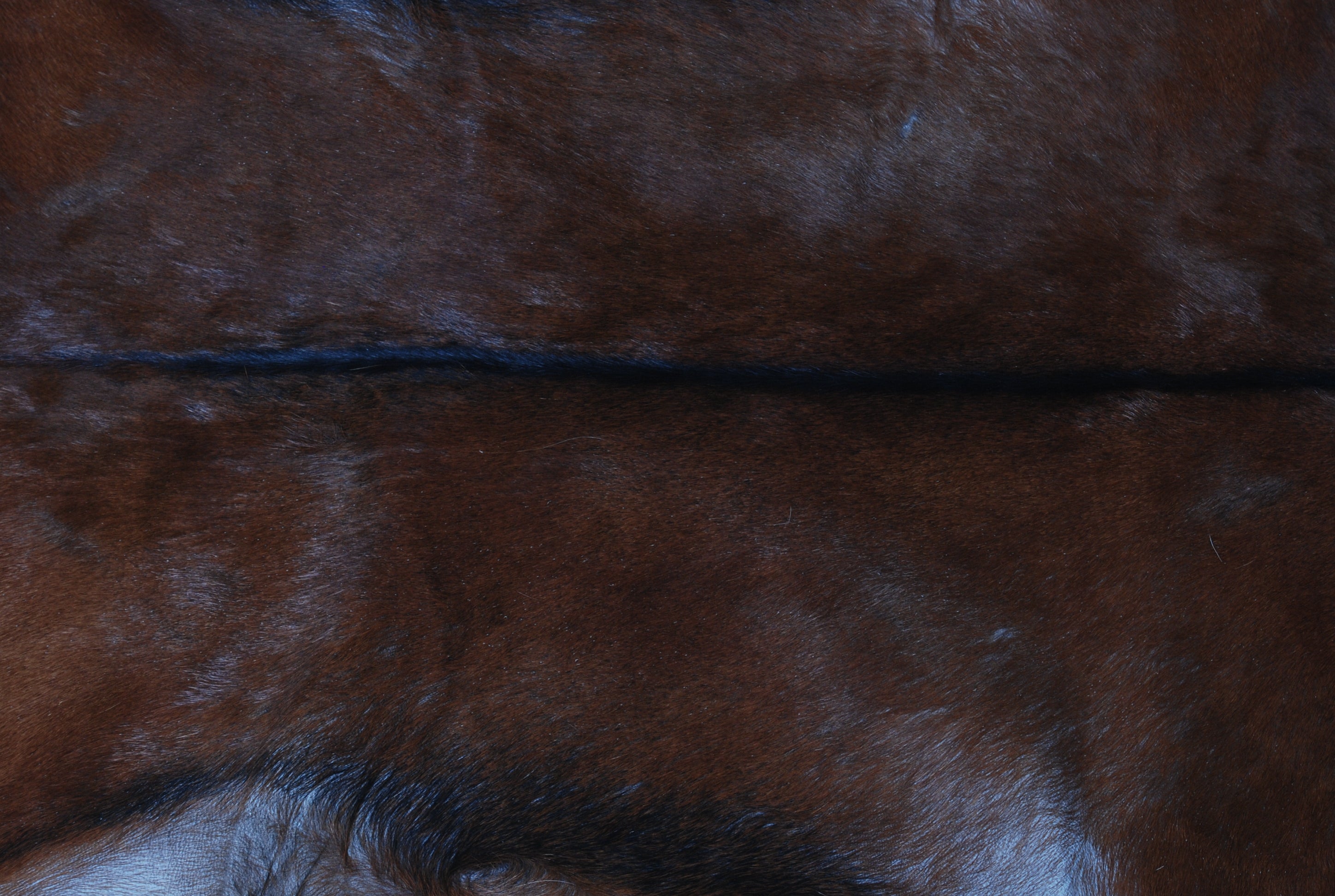 Luxury Brown & White Goat Hide Rug - Premium Natural Hair-on Goat Skin - Handcrafted Eco-Friendly Home Decor - Unique Patterns - Non-Slip - Celestial Leather Limited