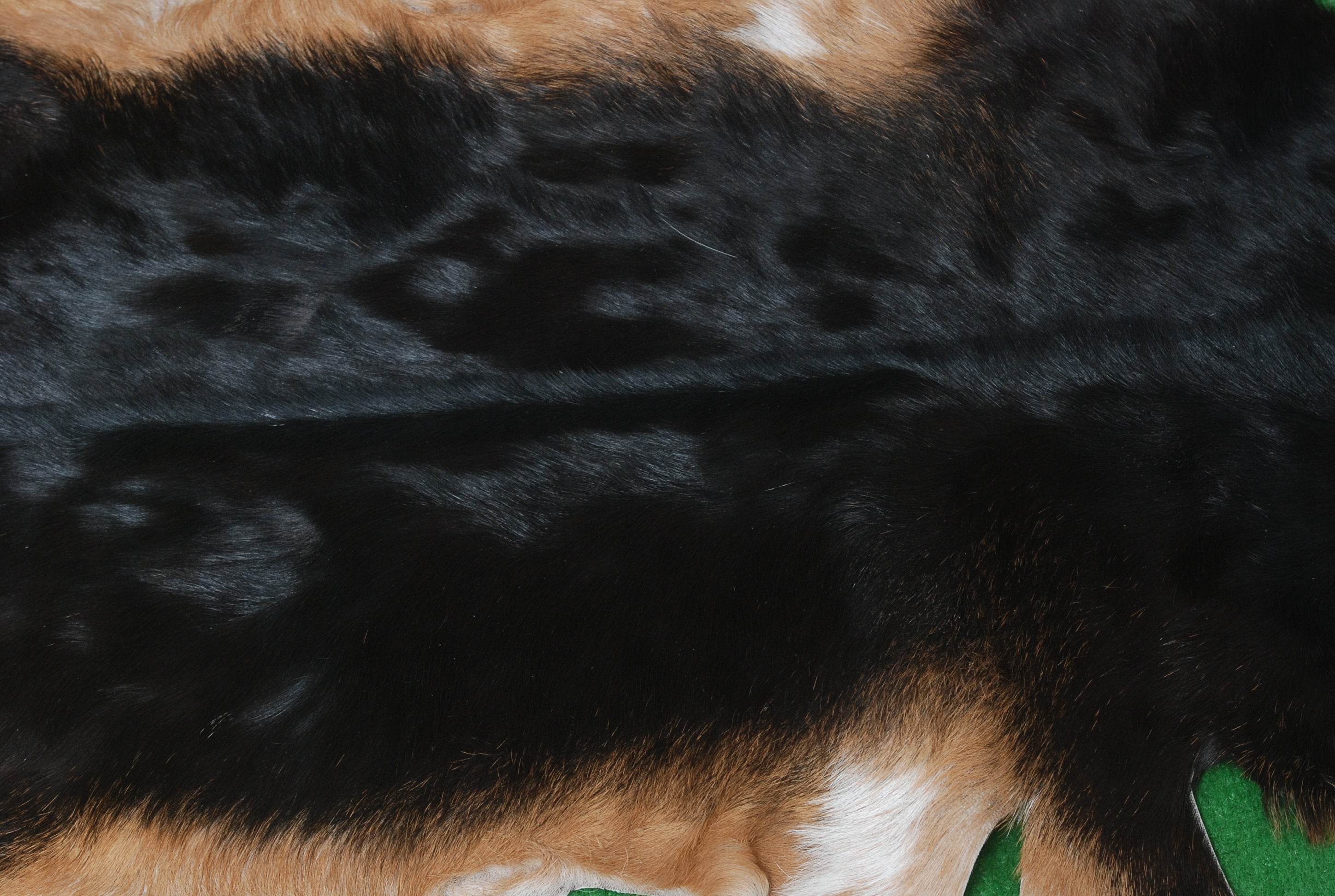 Black and Brown Handmade Goat Skin Rug – Rustic Charm for Your Home