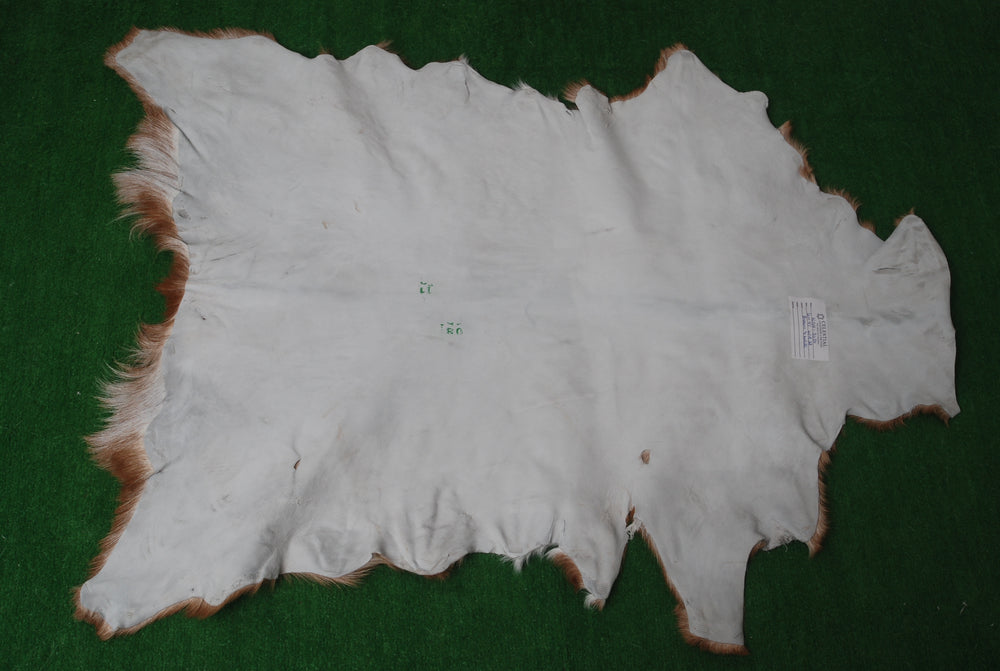 Luxurious Brown White Goat Skin Rug - Soft, Durable & Eco-Friendly - Perfect for Kids - Pets - Hypoallergenic - Non-Slip Suede Back - Celestial Leather Limited