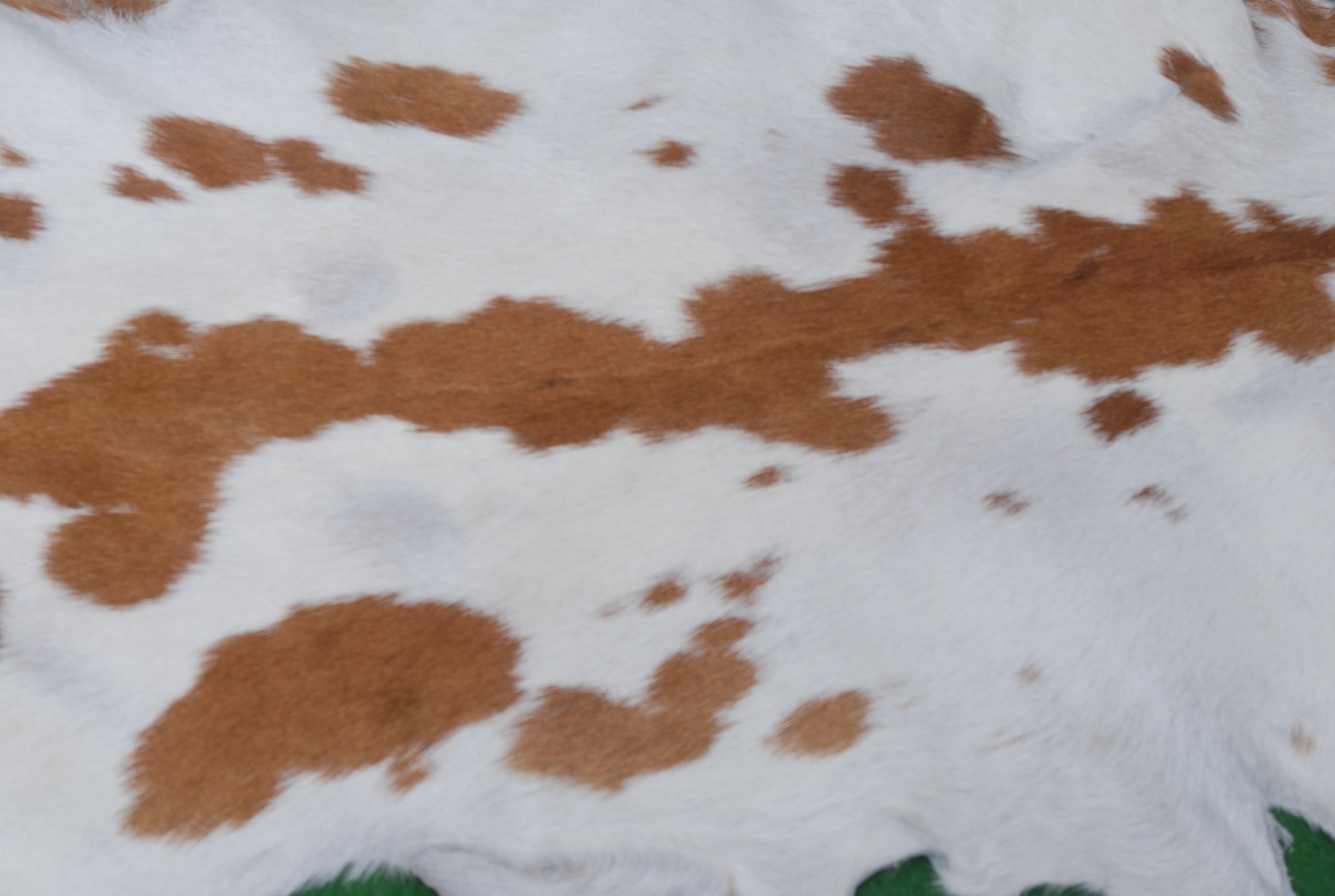 Natural Brown and White Goat Hide Rug - Luxurious Accent for Modern Homes