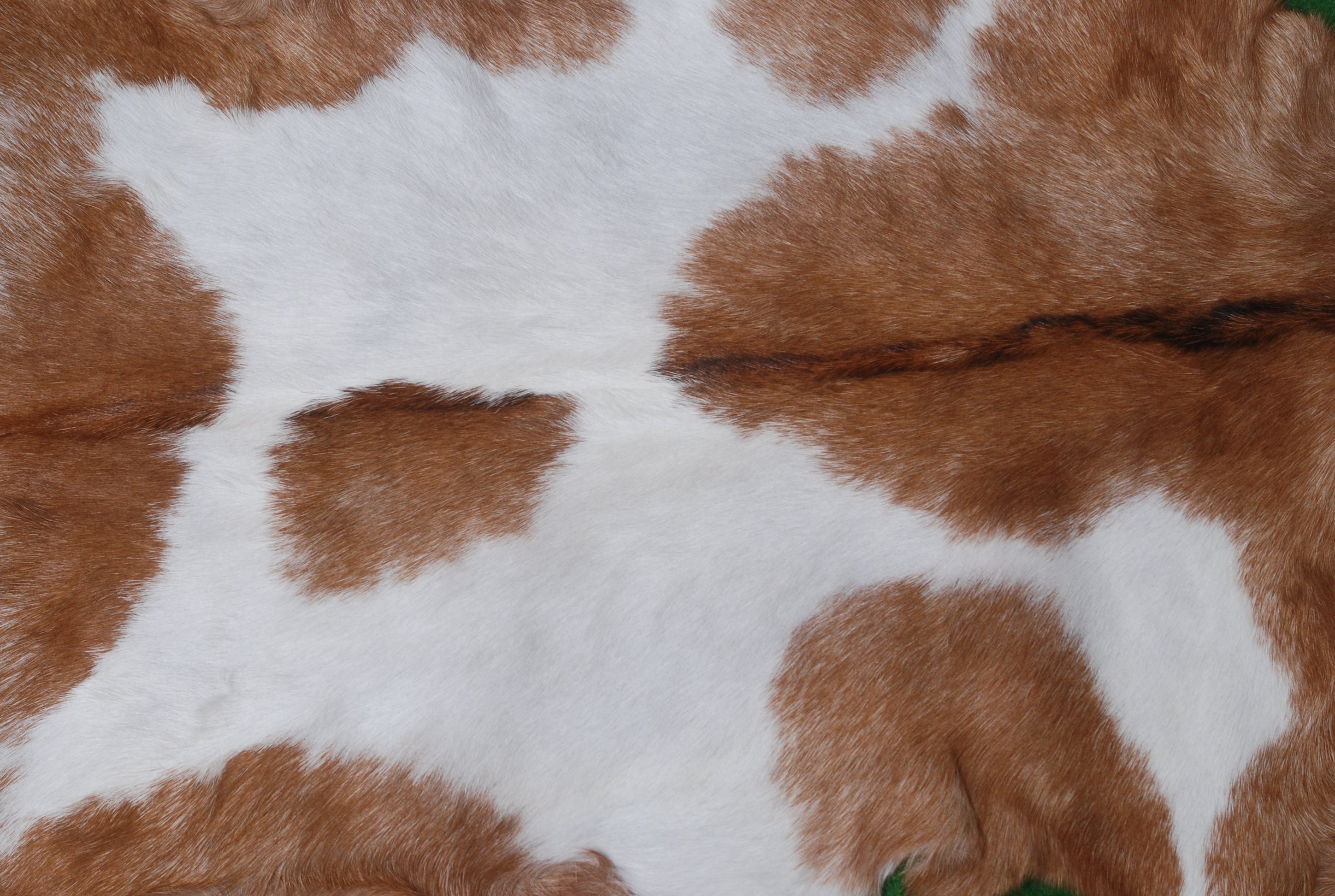 Luxurious Brown White Goat Skin Rug - Soft, Durable & Eco-Friendly - Perfect for Kids - Pets - Hypoallergenic - Non-Slip Suede Back - Celestial Leather Limited