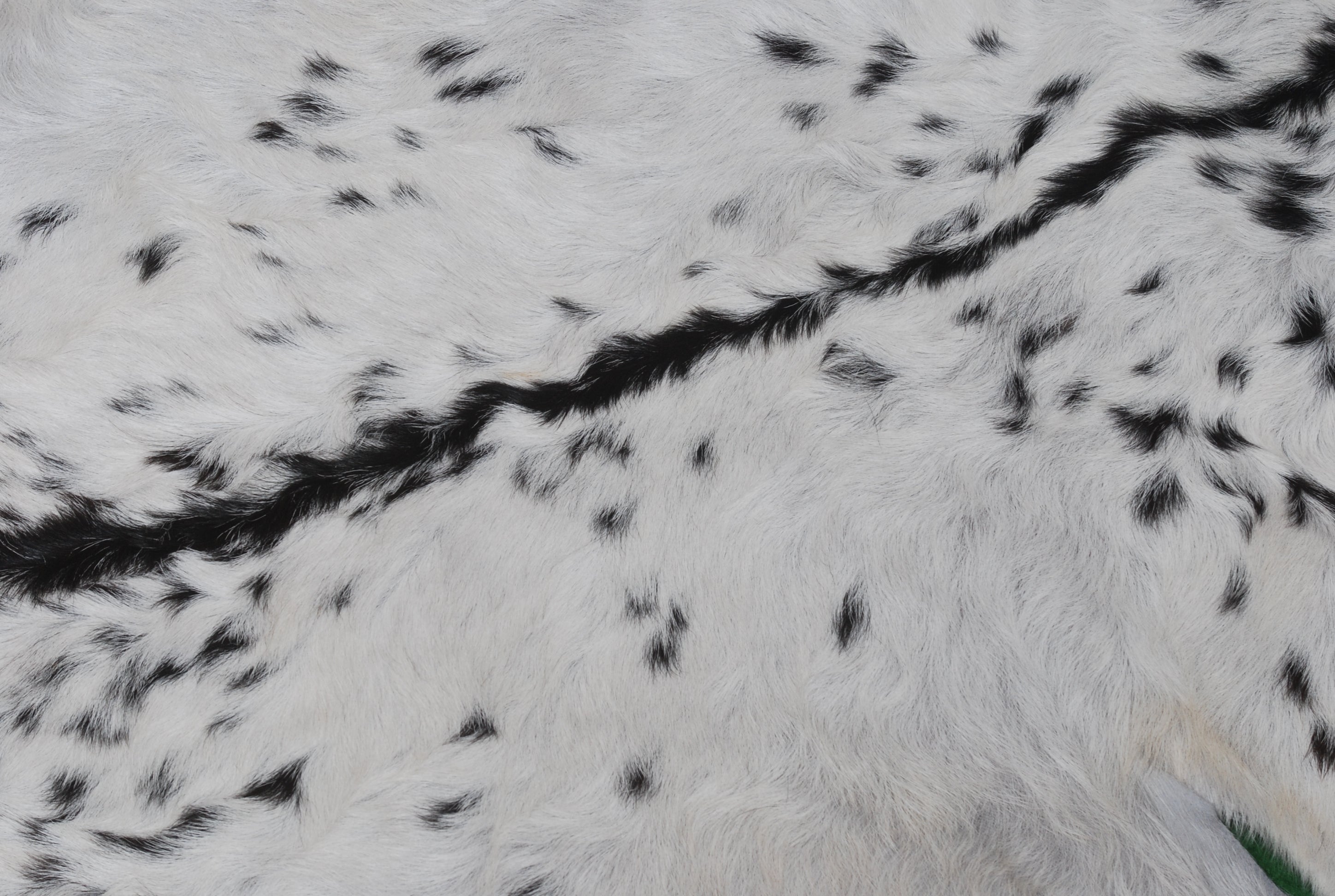 Goat Skin Rug, Black and white Handpicked for Quality, Unique Piece for Sale, Fast UK Delivery