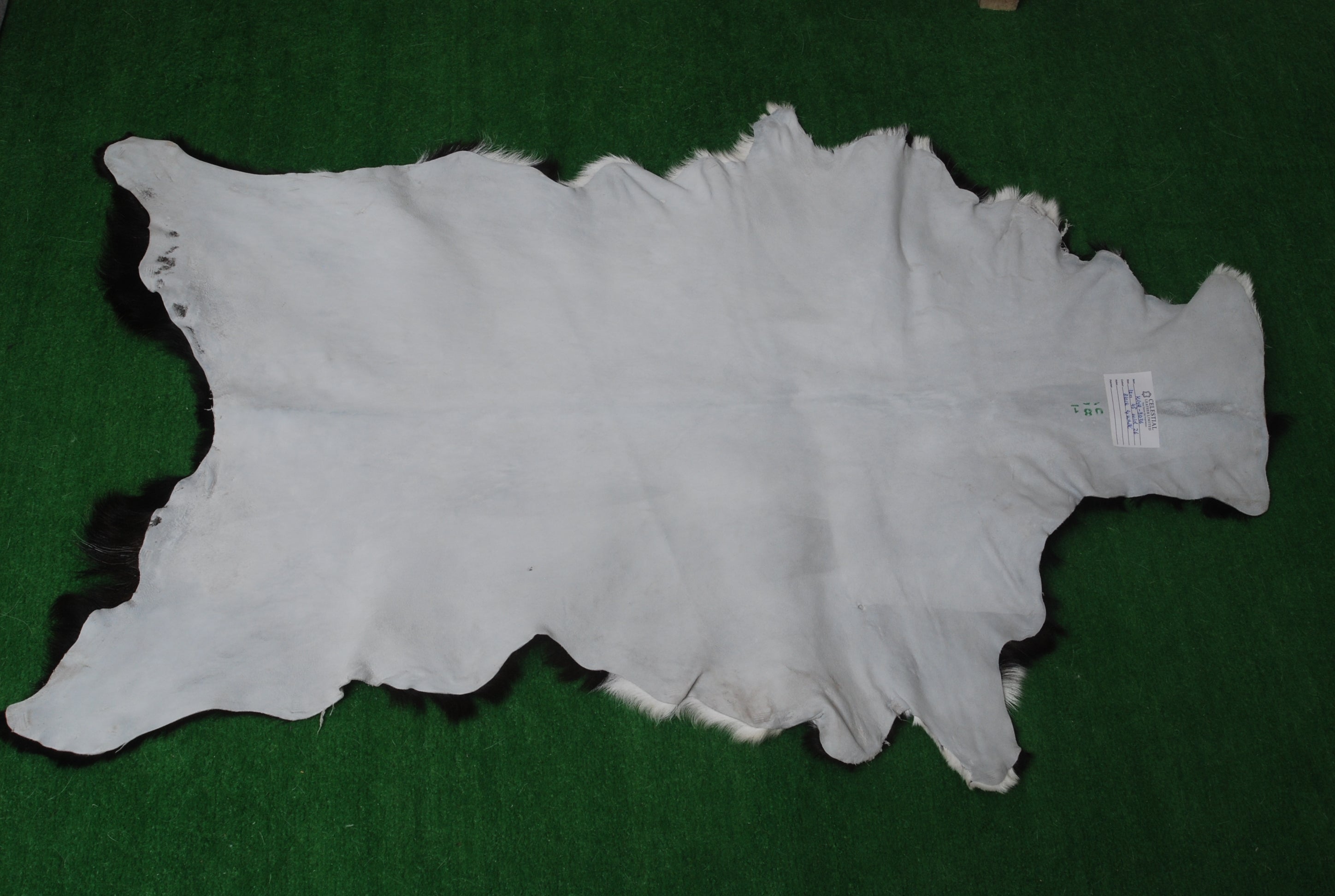 Luxurious Black and White Genuine Goat Skin Rug - Premium Hair-On Skin