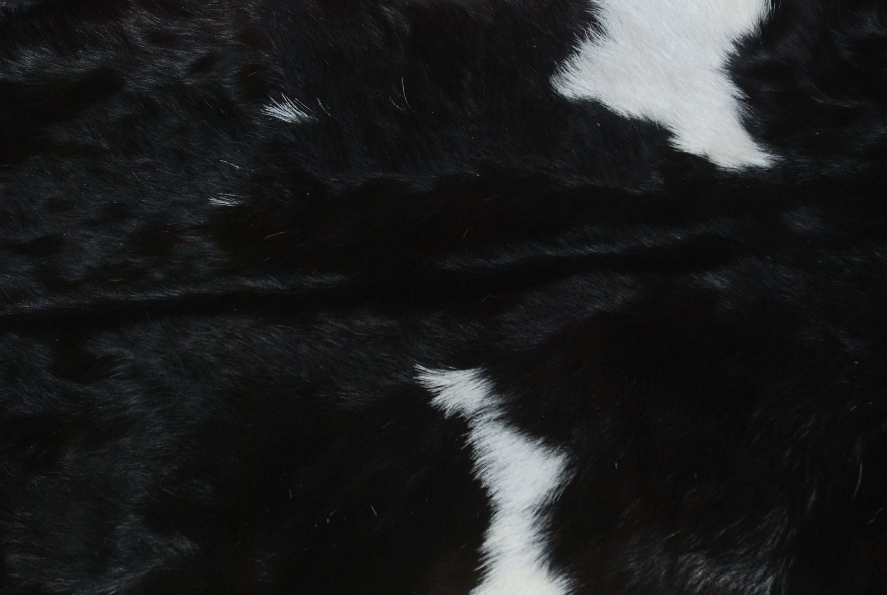 Luxurious Black and White Genuine Goat Skin Rug - Premium Hair-On Skin