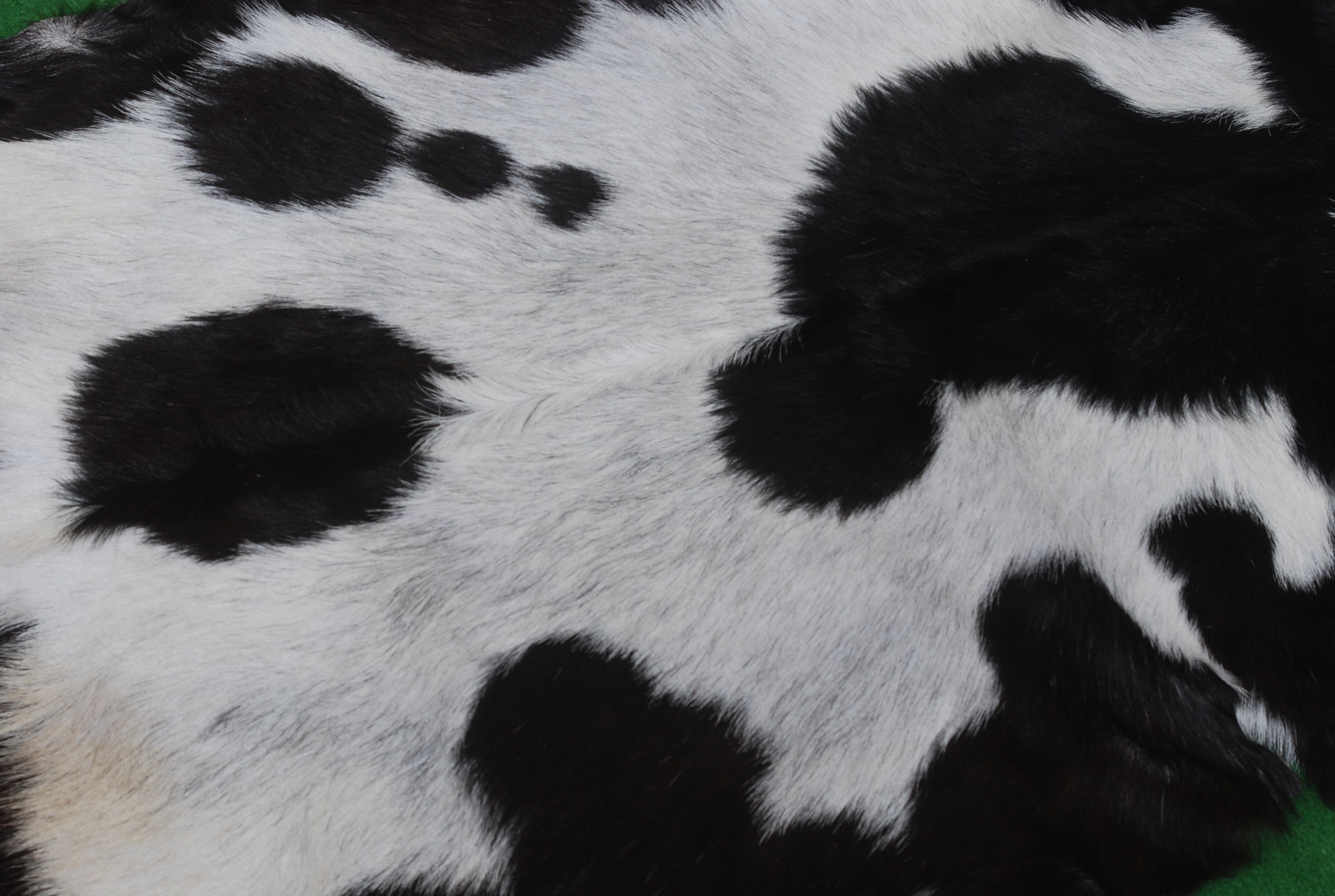 Premium Black and White Goat Skin Rug - Genuine Hair-On Leather for Home Décor
