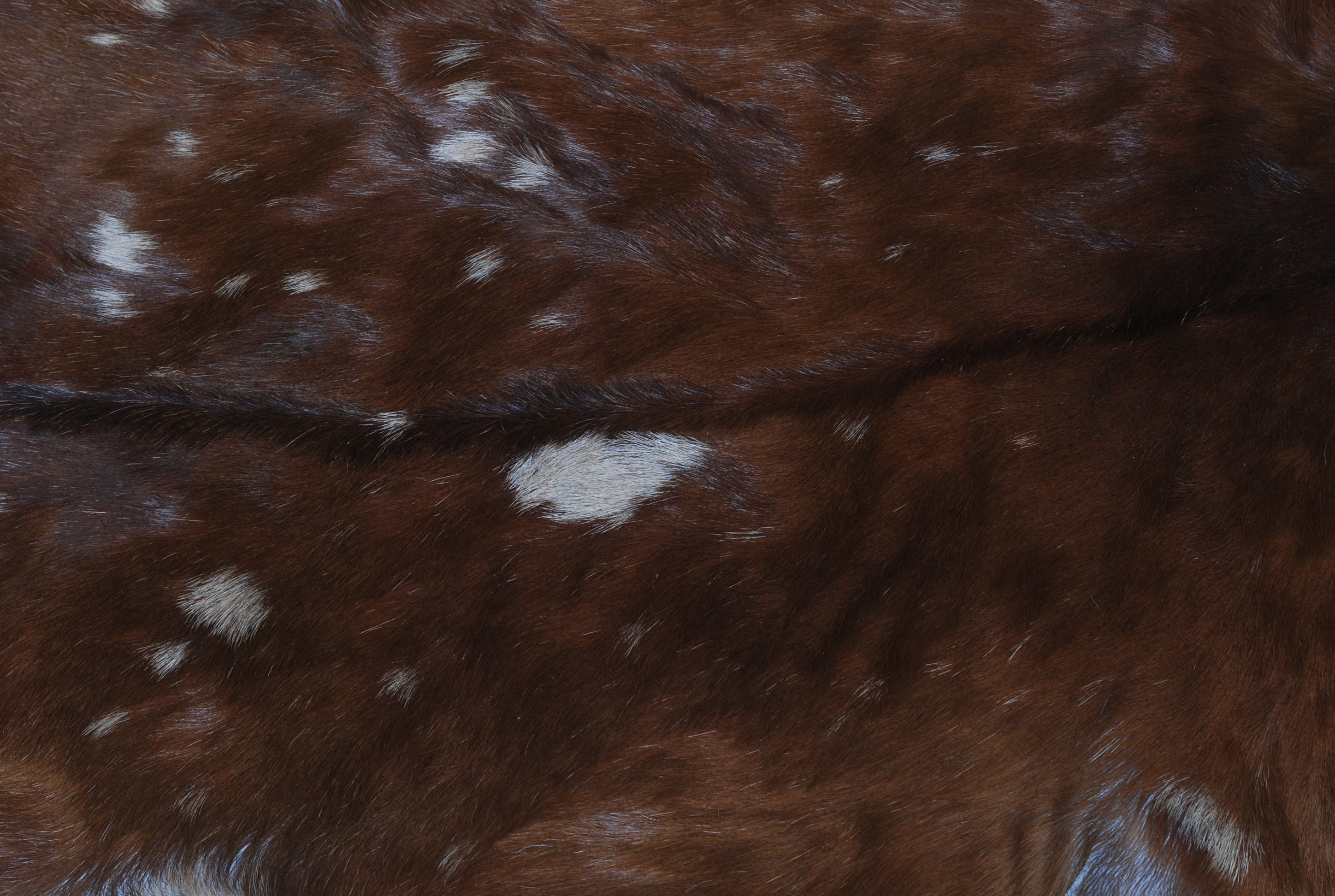 Luxury Handmade Multicolor Goat Skin Rug - Soft, Durable, Eco-Friendly & Hypoallergenic - Unique Rustic Charm for Your Home - Celestial Leather Limited