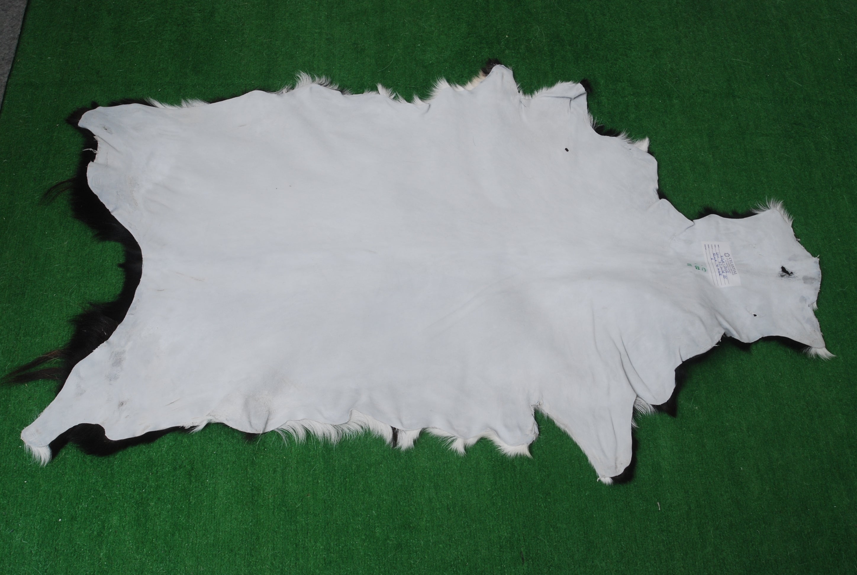 Genuine Goat Skin Rug - Black and White Pattern for Rustic Home Style