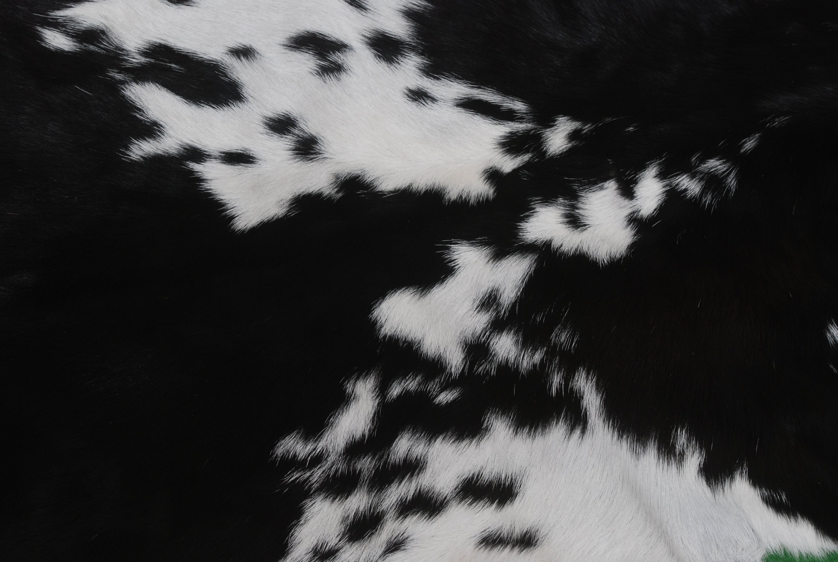 Genuine Goat Skin Rug - Black and White Pattern for Rustic Home Style