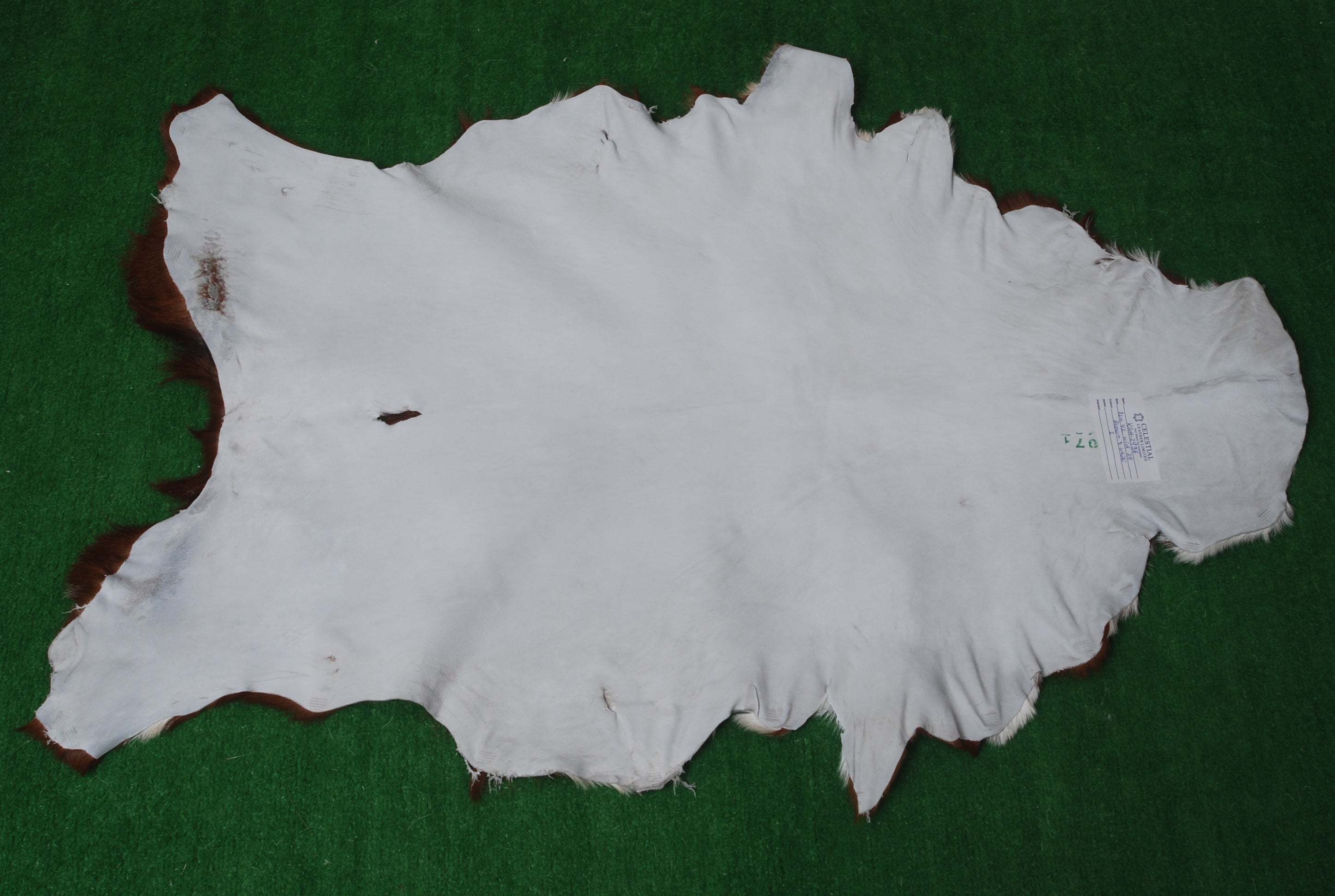 Luxurious Brown and White Goat Skin Rug - Premium Hair-On, Natural, and Sustainable - Elegant Home Decor Addition - Celestial Leather Limited