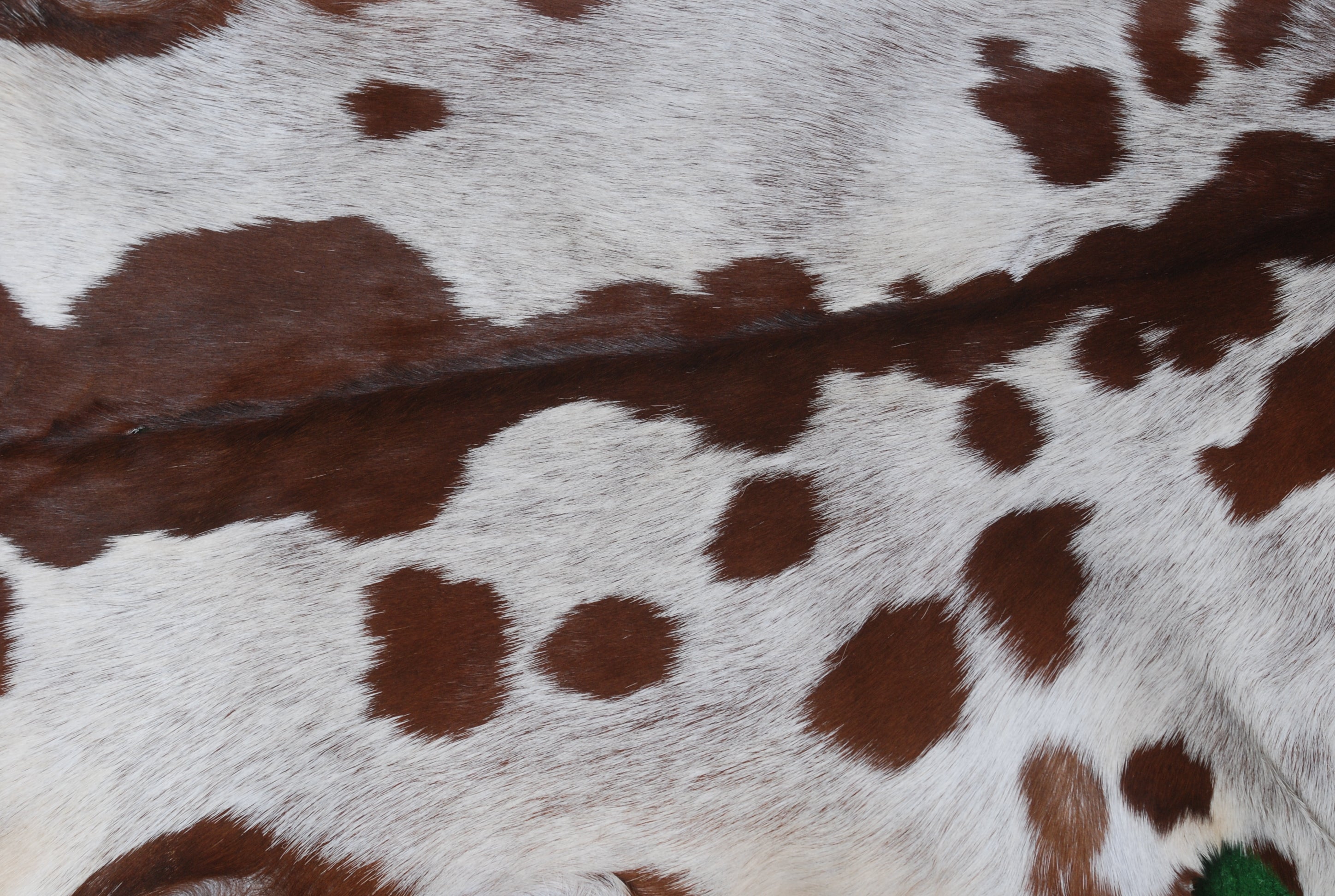 Luxurious Brown and White Goat Skin Rug - Premium Hair-On, Natural, and Sustainable - Elegant Home Decor Addition - Celestial Leather Limited