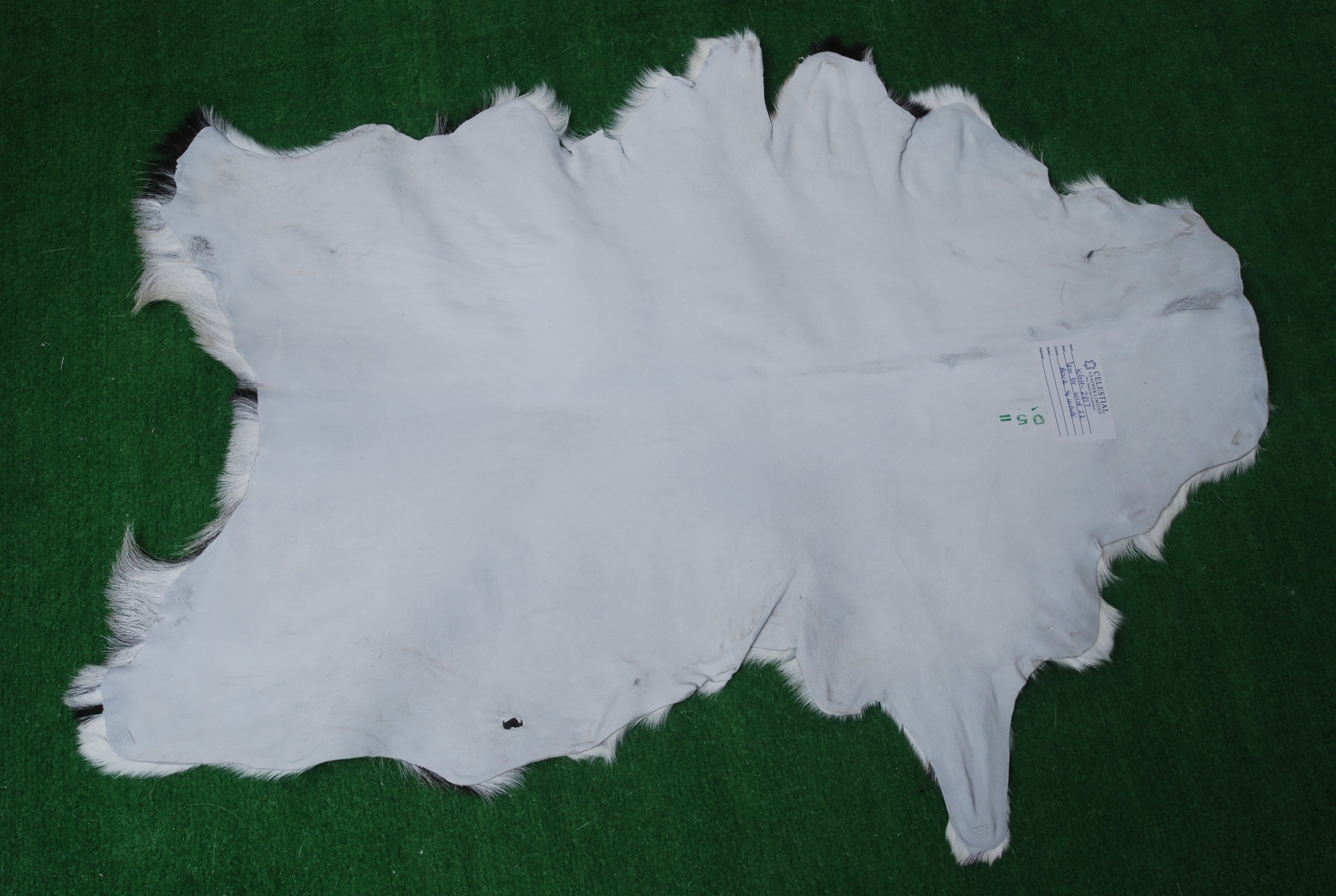 Luxurious Genuine Black & White Goat Skin Rug | Modern Home Decor | Hypoallergenic - Non-Shedding | Sustainable - Eco-Friendly