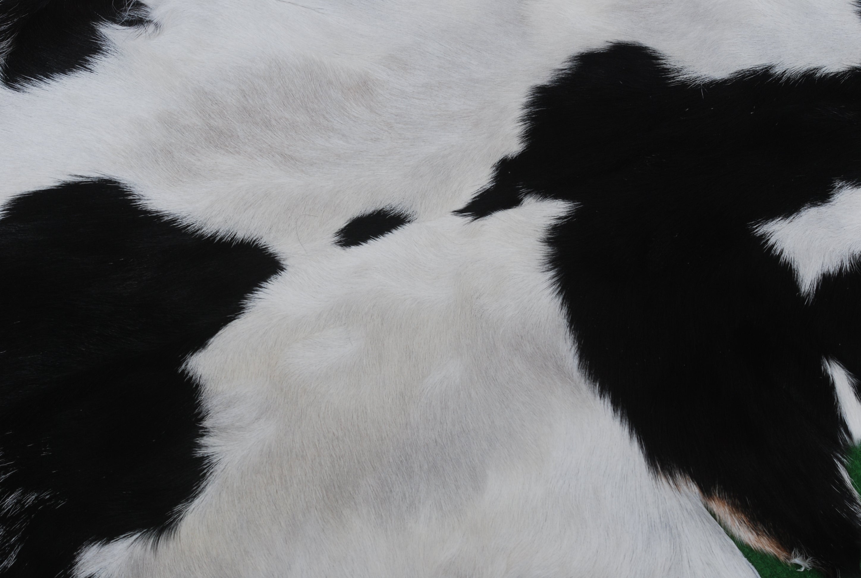 Luxurious Genuine Black & White Goat Skin Rug | Modern Home Decor | Hypoallergenic - Non-Shedding | Sustainable - Eco-Friendly