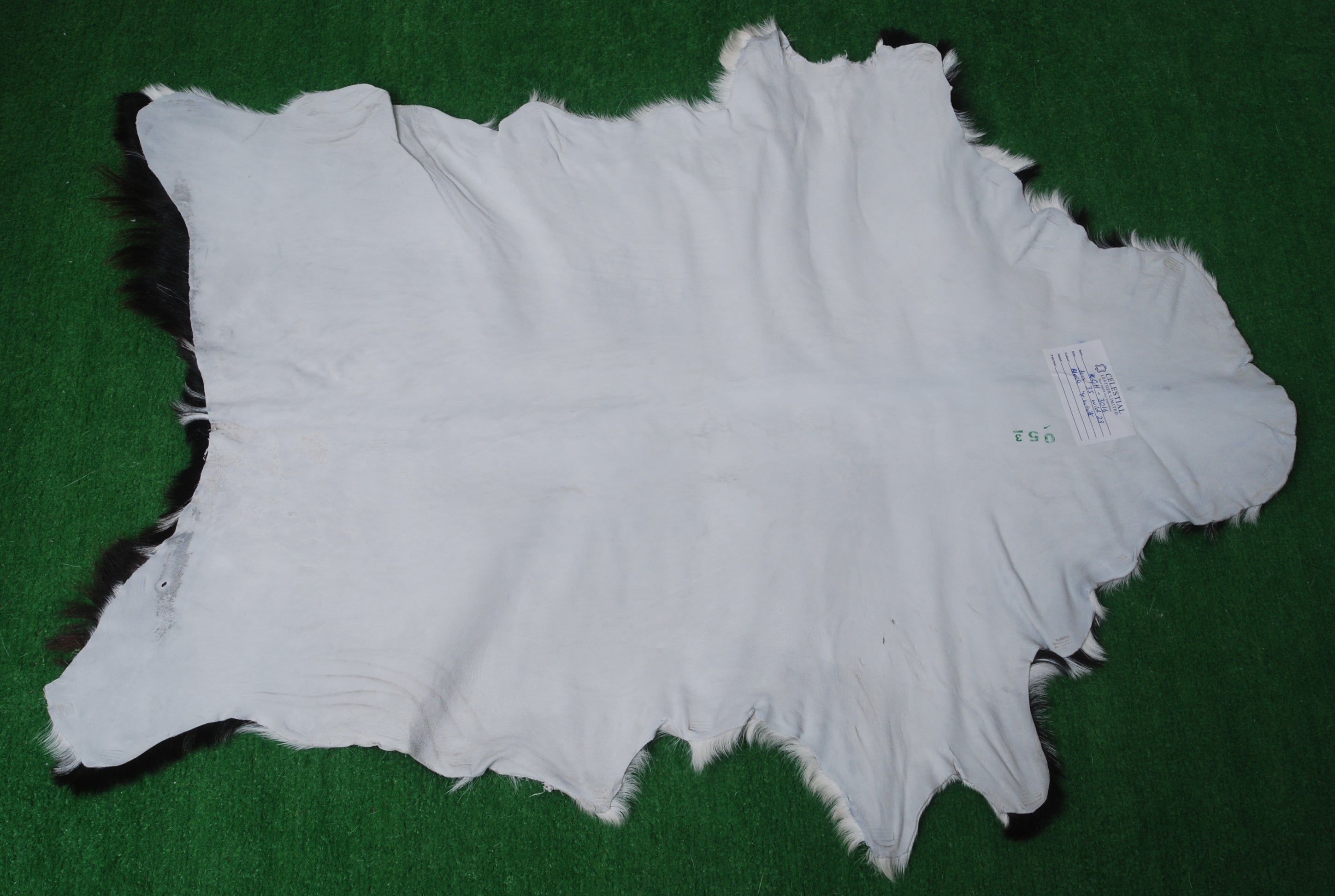 Modern Sophistication: Genuine Black and White Goat Skin Throw Rug for Home Decor - Non-Slippery Back, Hypoallergenic, and Unique Natural