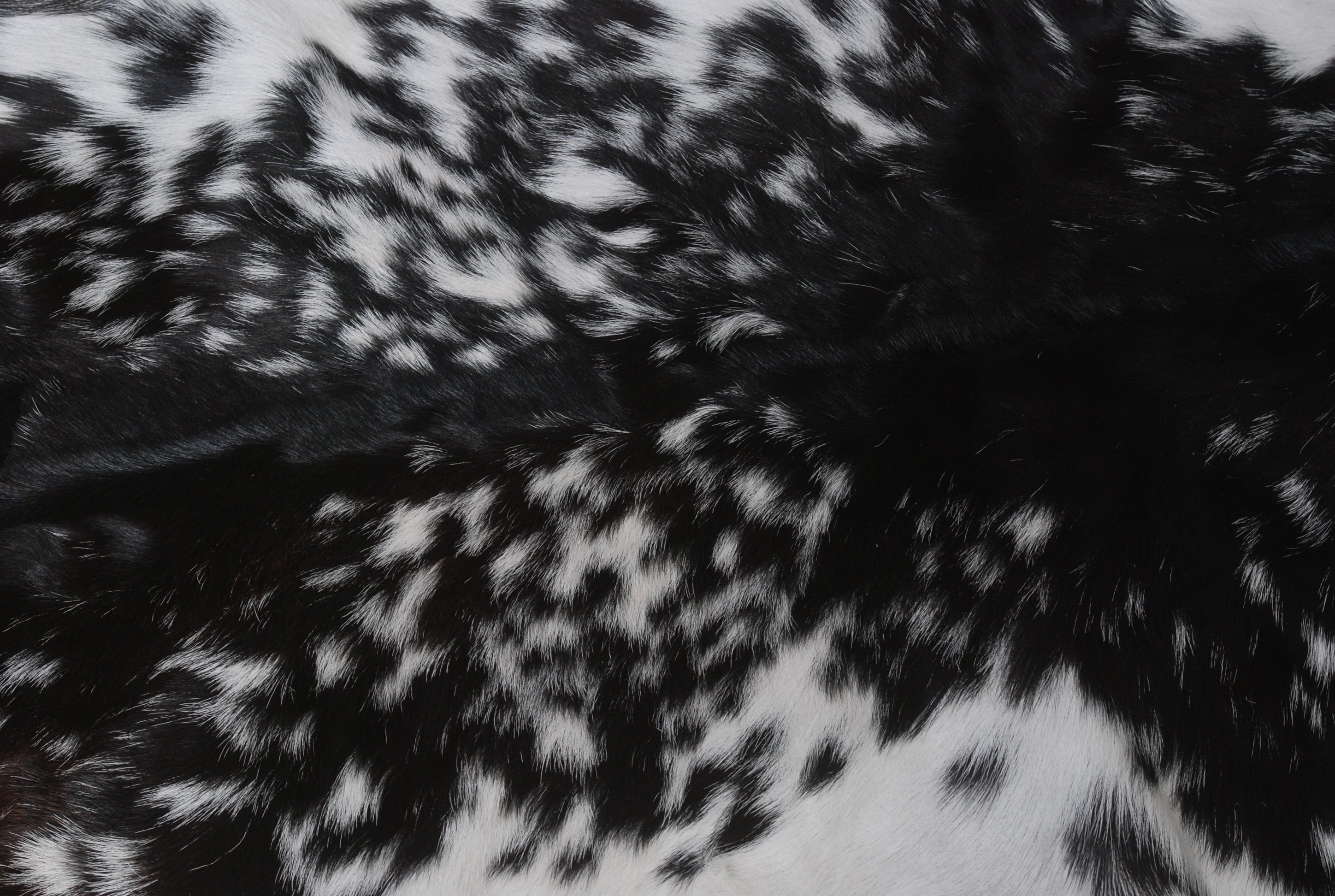 Modern Sophistication: Genuine Black and White Goat Skin Throw Rug for Home Decor - Non-Slippery Back, Hypoallergenic, and Unique Natural