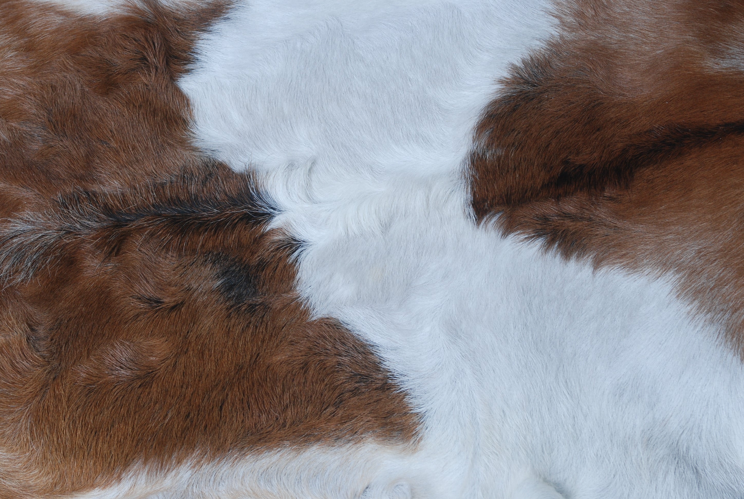 Premium Handcrafted Brown and White Goat Skin Rug - Luxury Hair-on Goatskin Rug for Elegant Spaces - Celestial Leather Limited