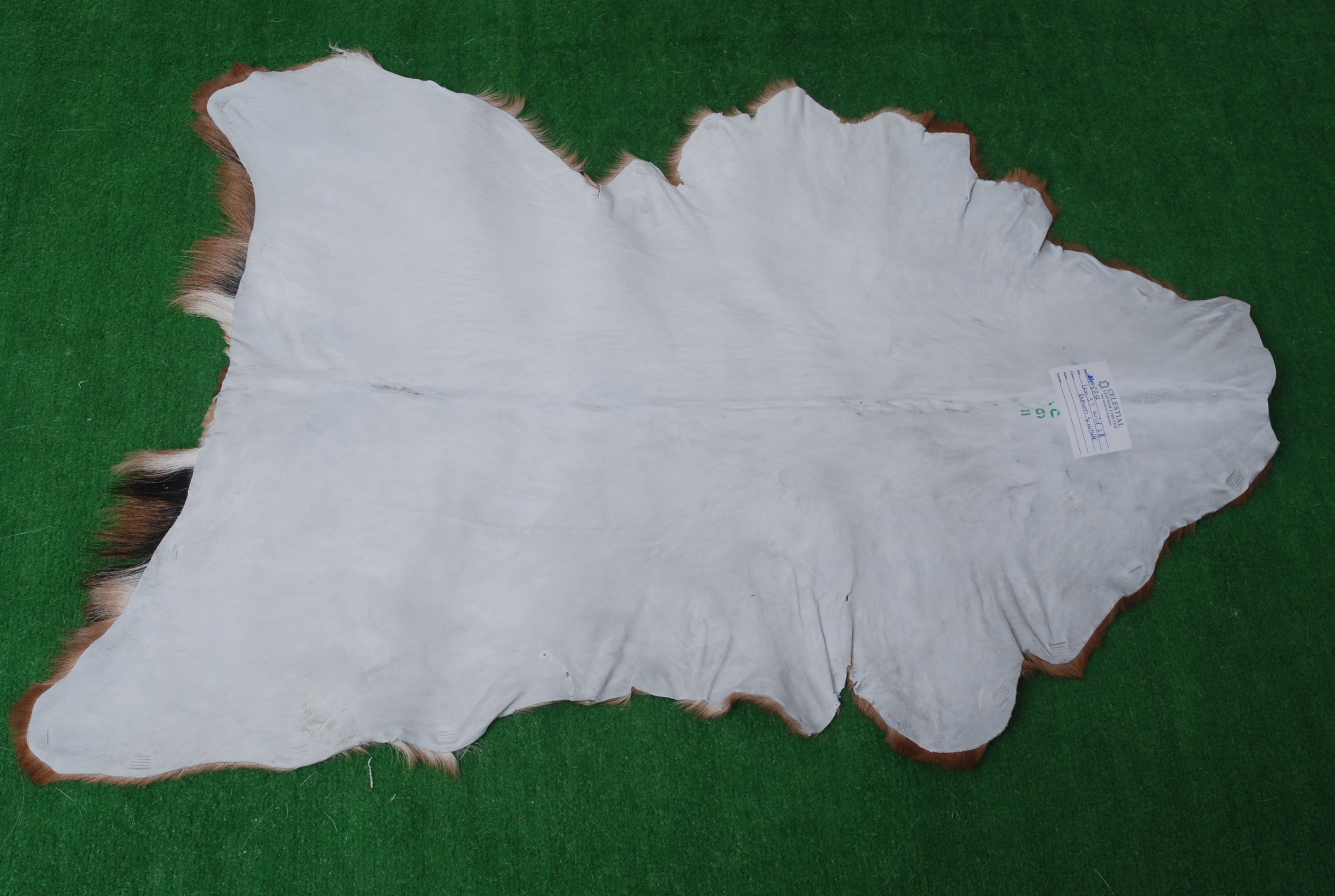 Luxury Handmade Brown & White Goat Skin Rug - Natural Soft Sustainable Floor Rug with Non-Slip Back - Unique Eco-Friendly Home Décor - Celestial Leather Limited