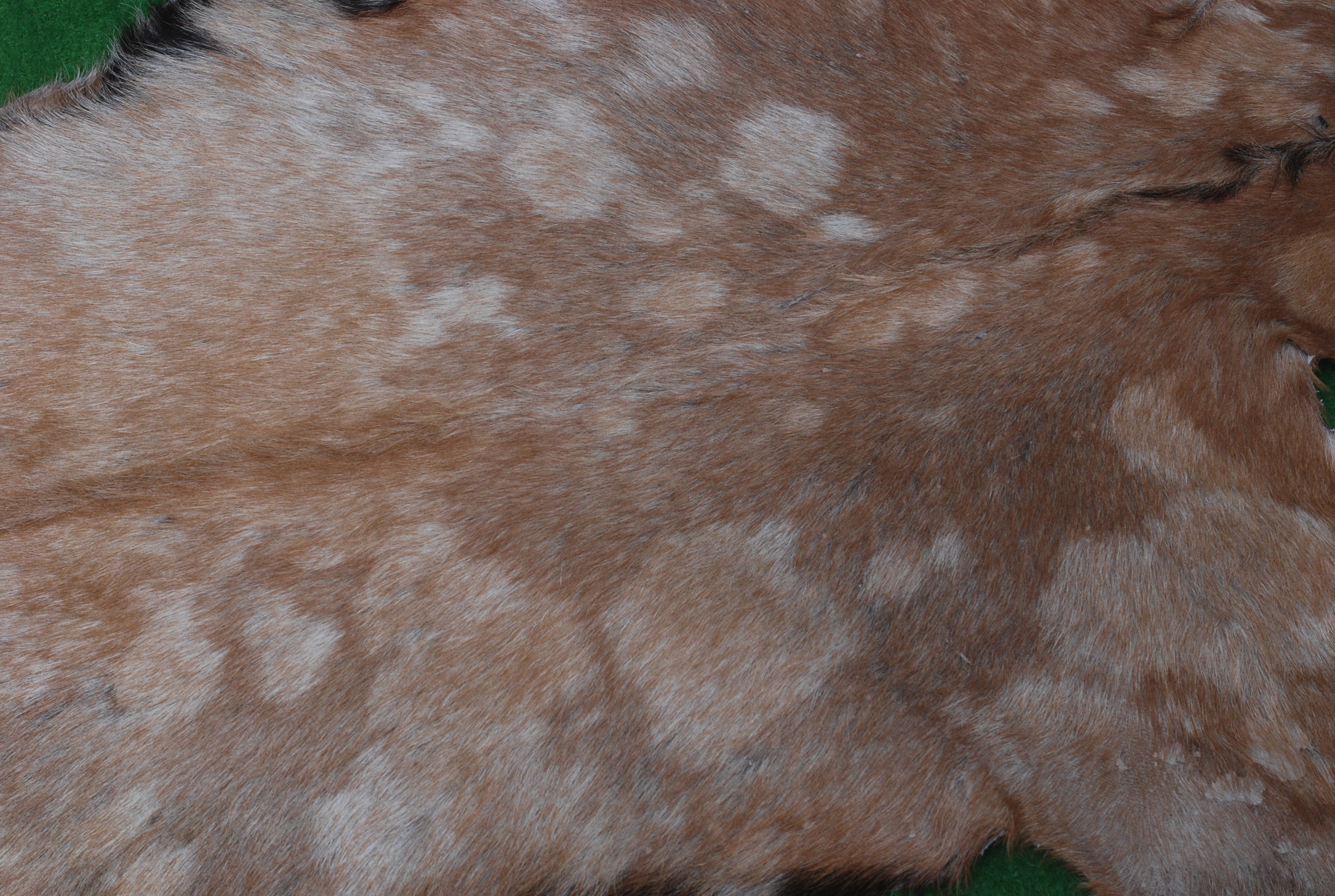 Celestial Tan Skin Rug - Soft, Durable, and Eco-Friendly - Handmade Pure Goat Skin Floor Rug - Non-Slip Suede Back