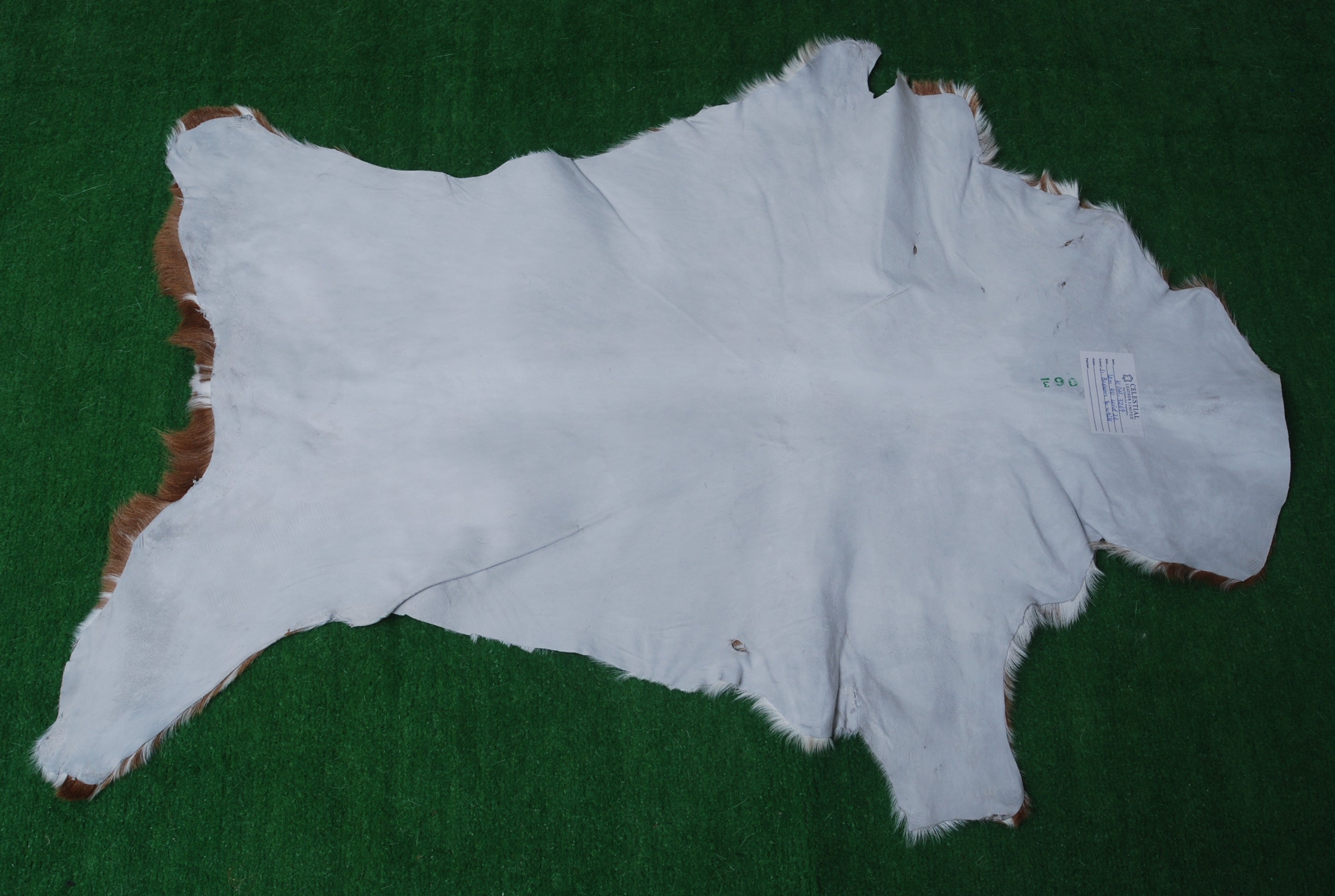 Luxurious Brown and White Goat Hide Rug - Natural Hair-On Leather for Home Styling