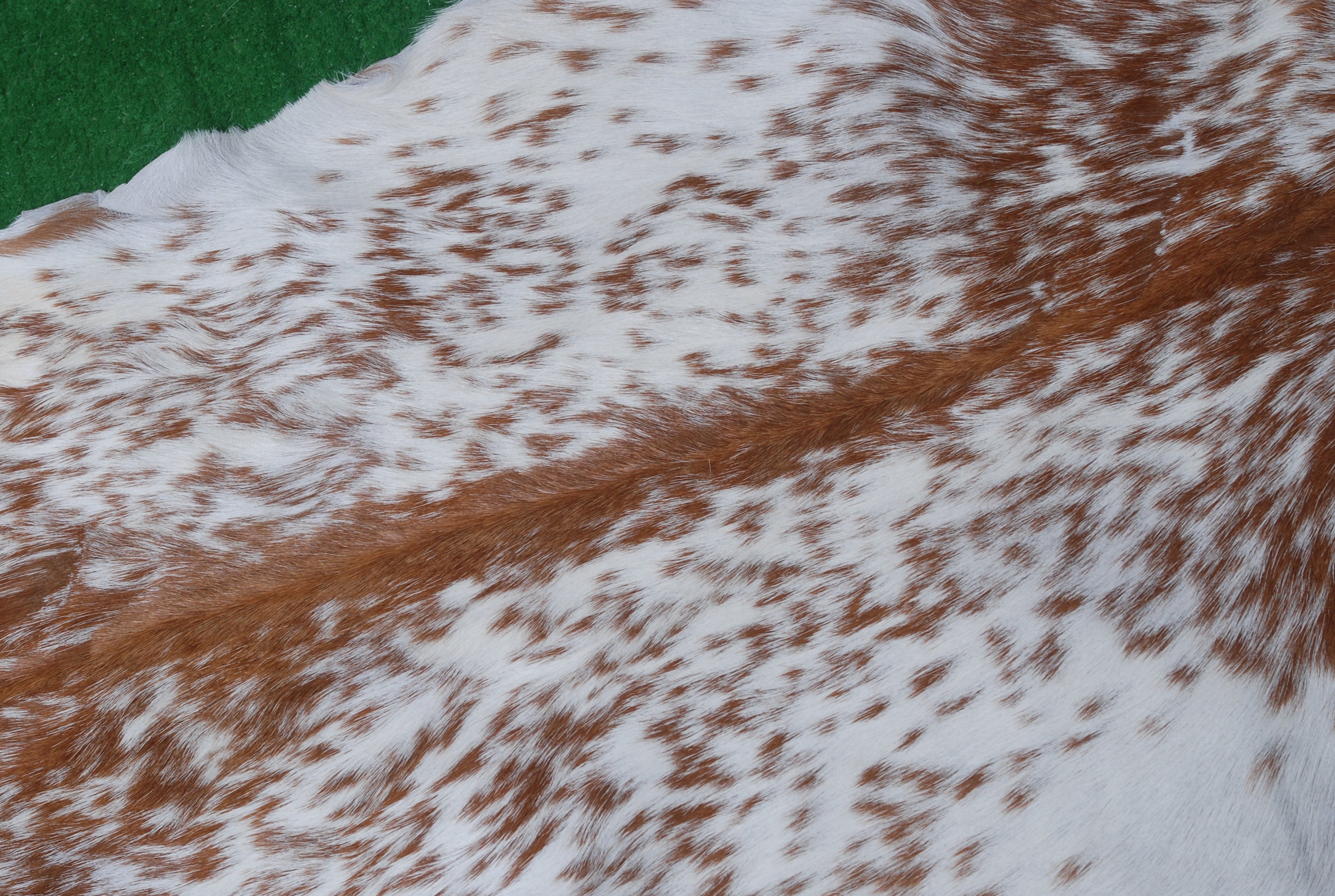 Luxurious Brown and White Goat Hide Rug - Natural Hair-On Leather for Home Styling