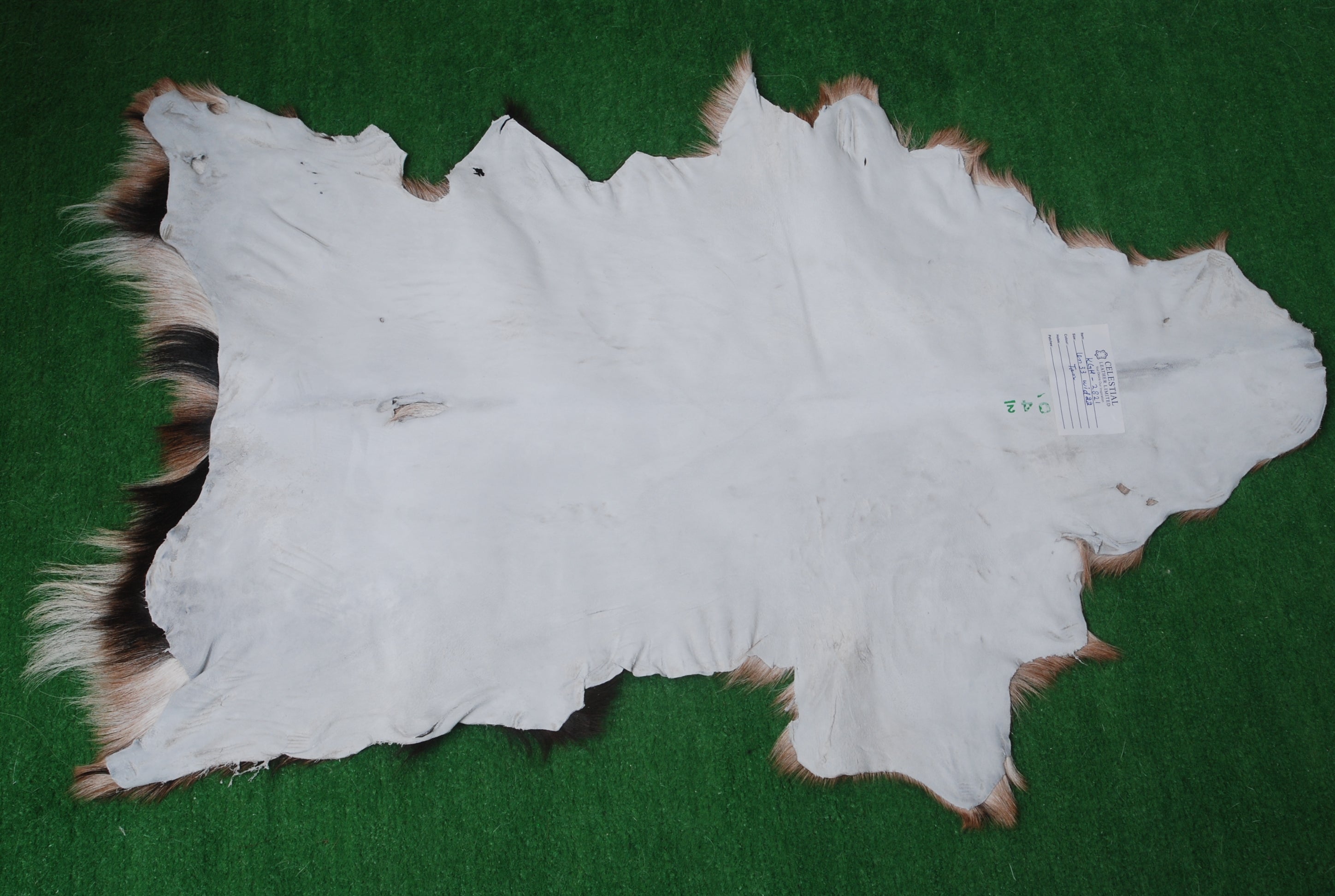 Goat Skin Rug: Tri-Color genuine Goat hide rug