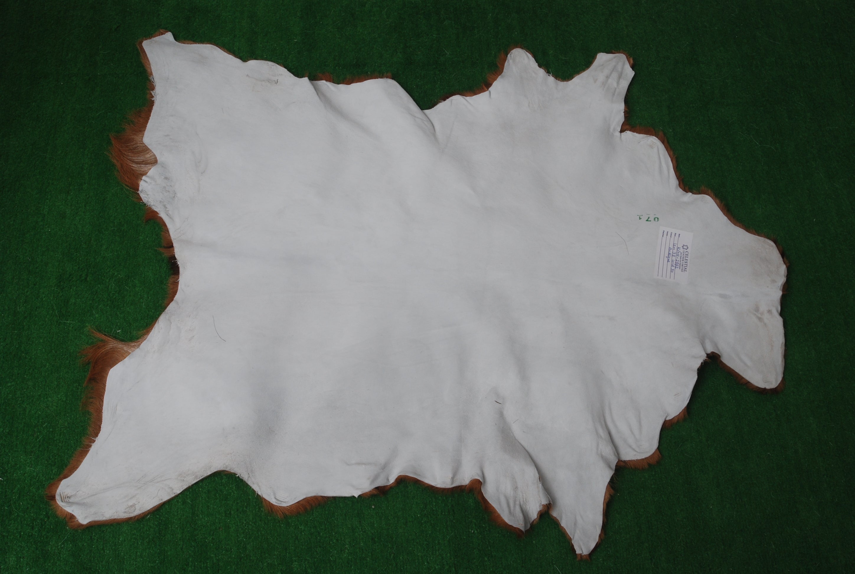 Goat Skin Rug: Tri-Color genuine Goat hide rug