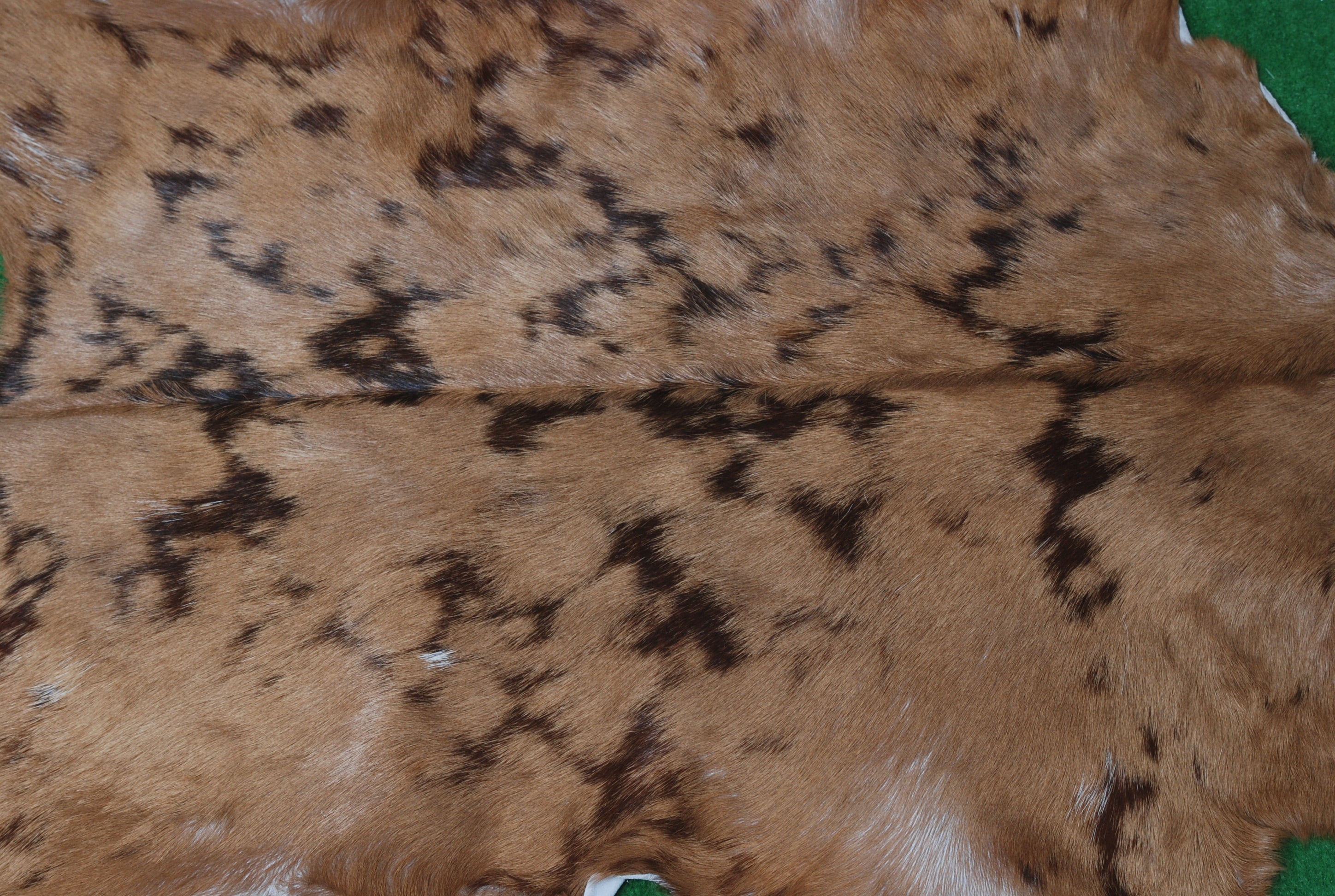 Goat Skin Rug: Tri-Color genuine Goat hide rug