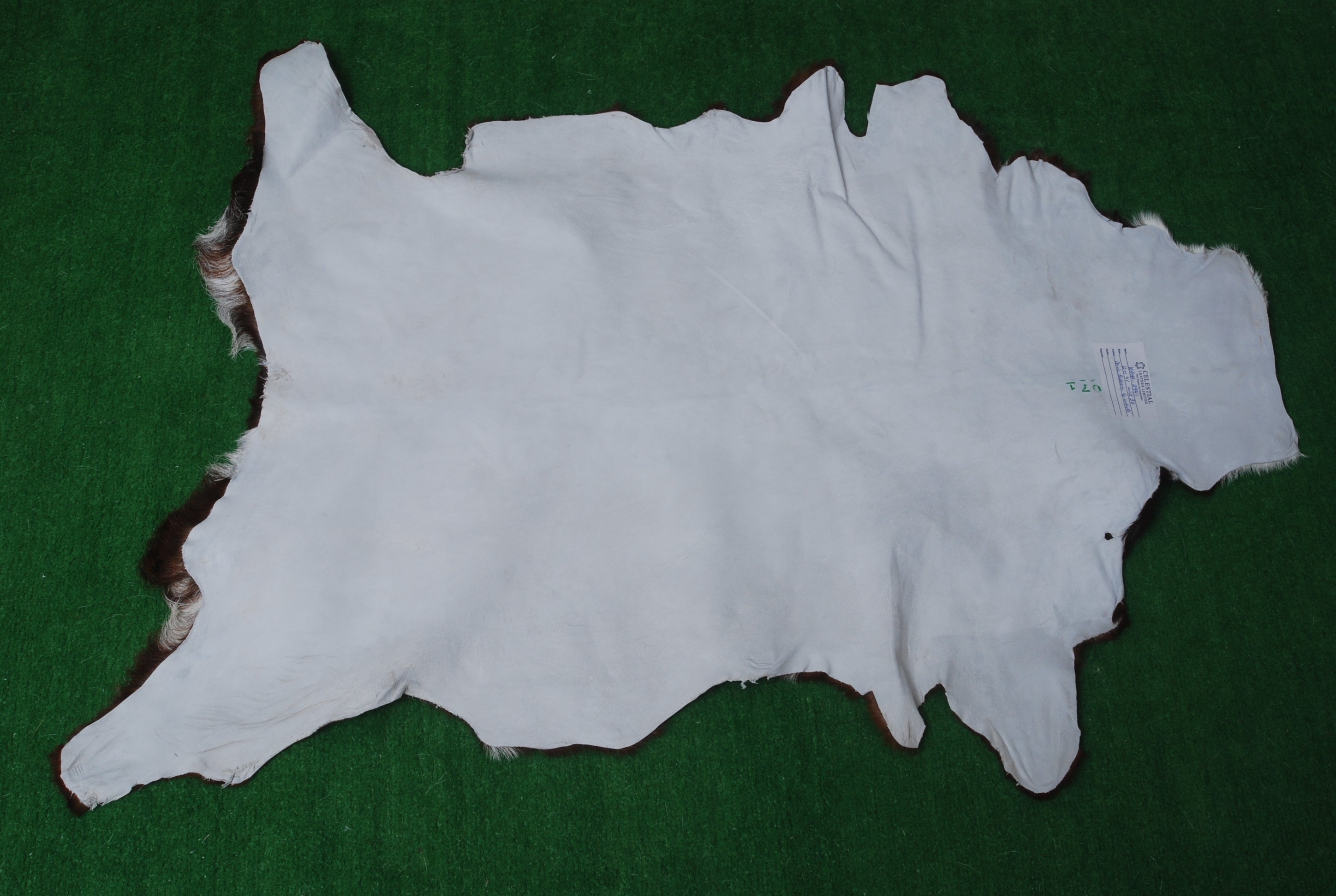 Goat Skin Rug - Handmade Luxury Floor Décor with Unique Variations, Soft & Eco-Friendly - Celestial Leather Limited