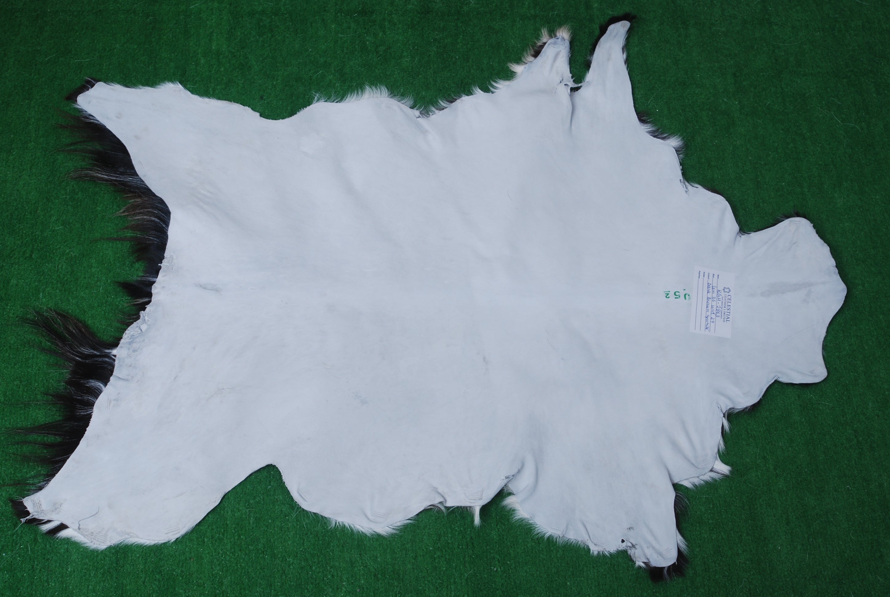 Stunning Luxury Black & White Goat Skin Rug - Handmade, Soft & Hypoallergenic, Non-shedding, Eco-friendly, Unique Colour Variations - Celestial Leather Limited