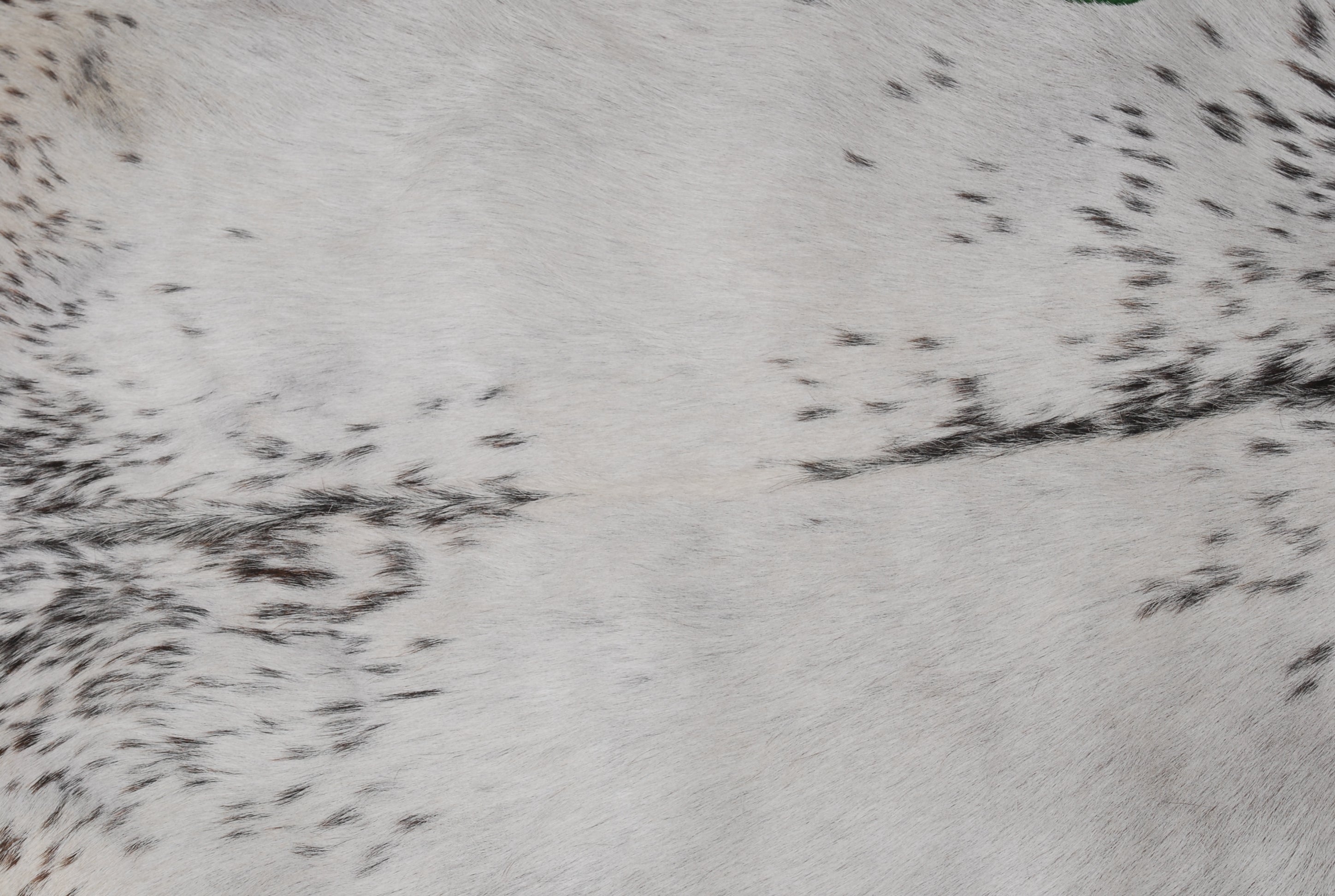 Stylish Black and White Goat Hide Rug - Unique Natural Pattern for Modern Homes