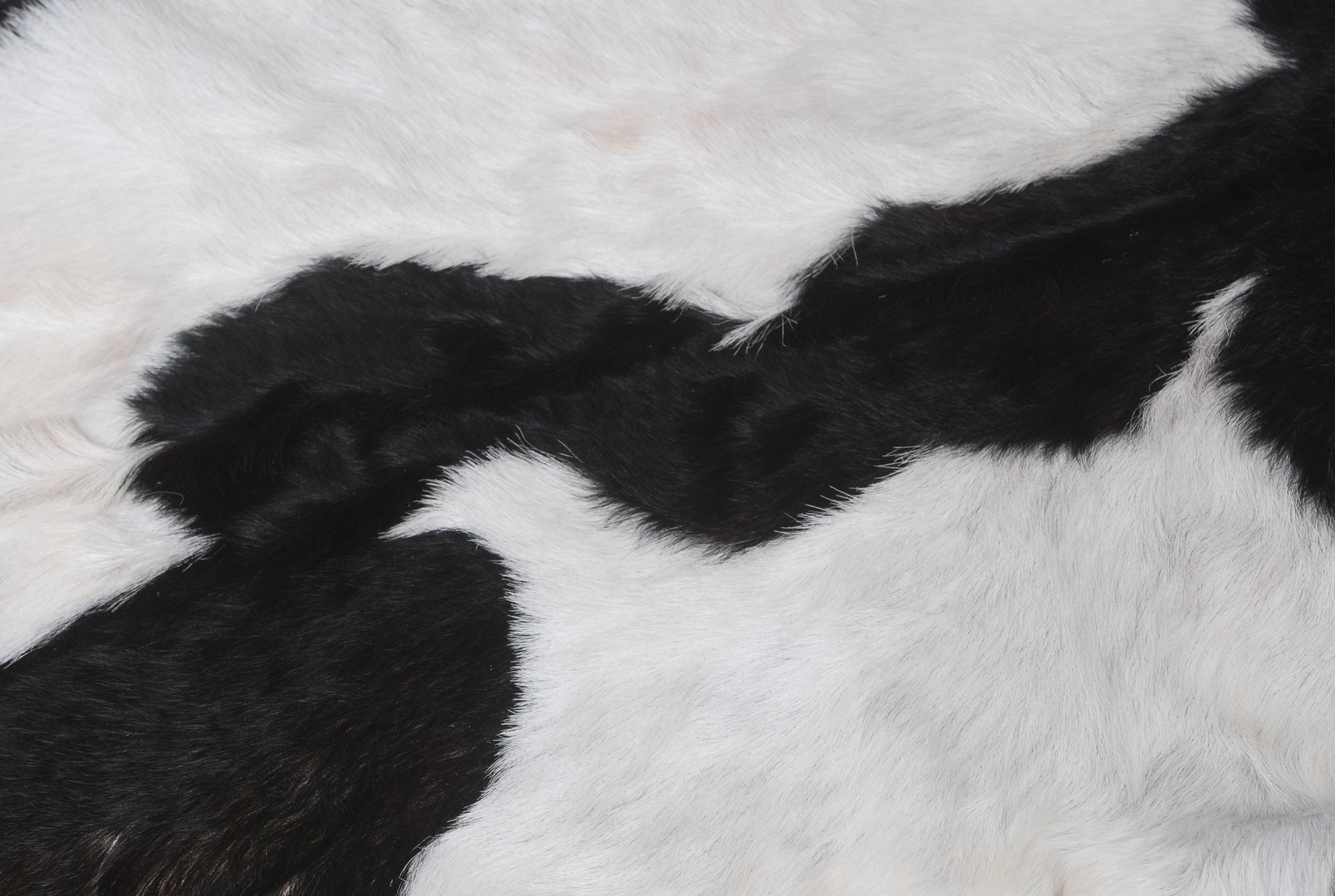 Goat Skin Rug: A Luxurious Addition to Your Home Décor - Celestial Leather Limited