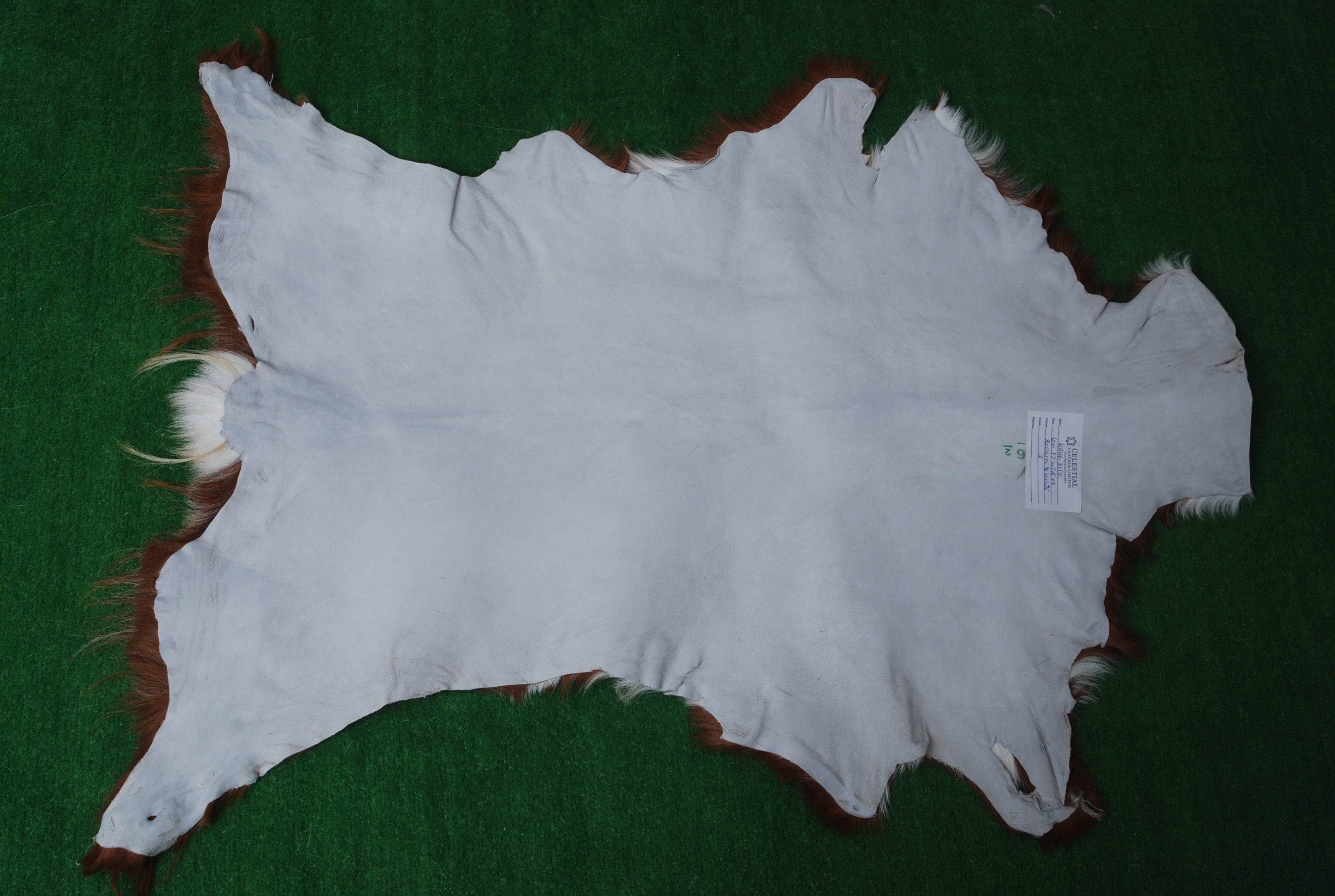 Luxury Brown and White Goat Hide Rug - Premium Hair-on Goatskin Rug - Eco-Friendly and Handcrafted - Hypoallergenic - Non-Slip Suede Back